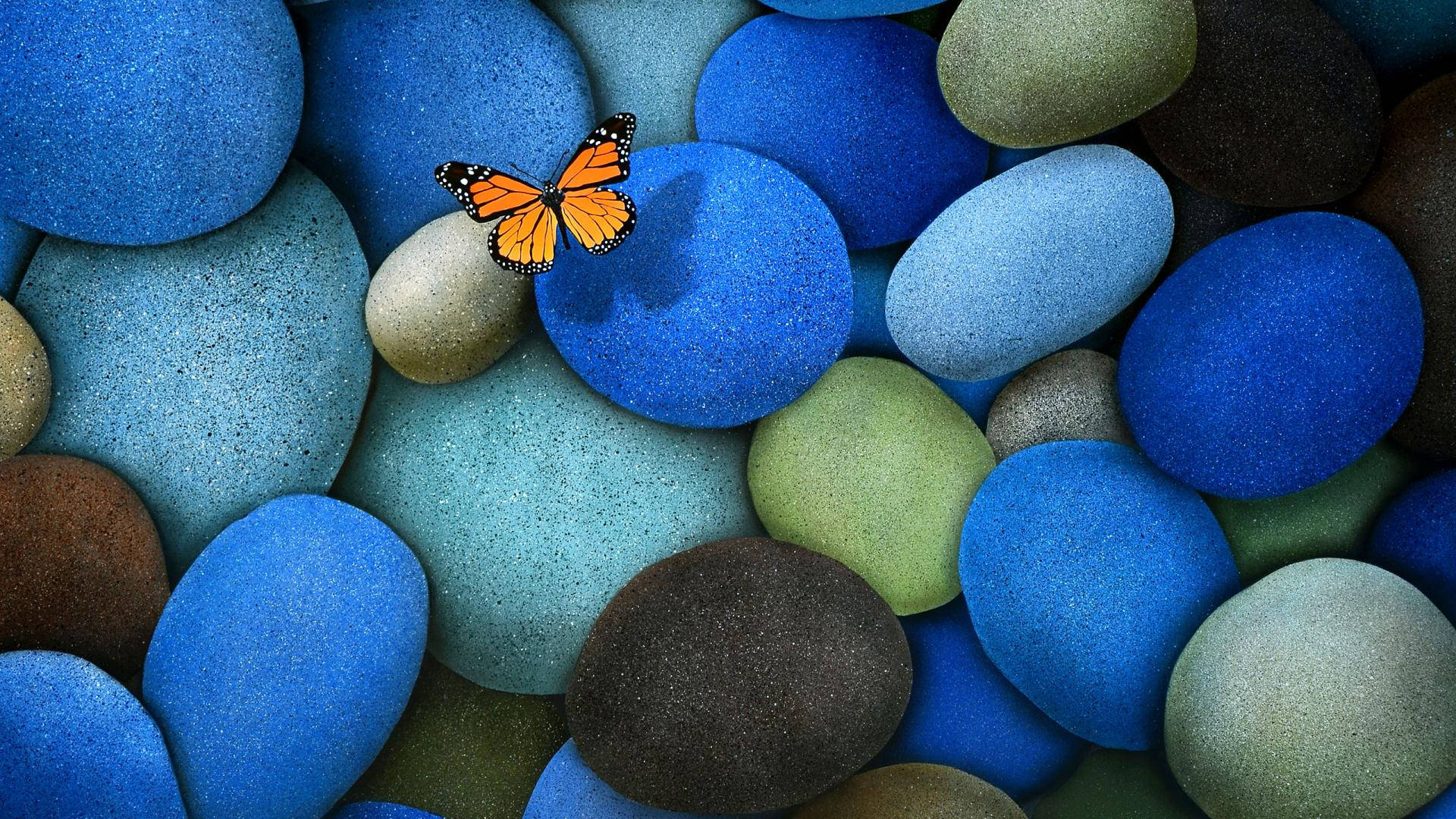 Beautiful Hd Butterfly And Colorful Stones Background