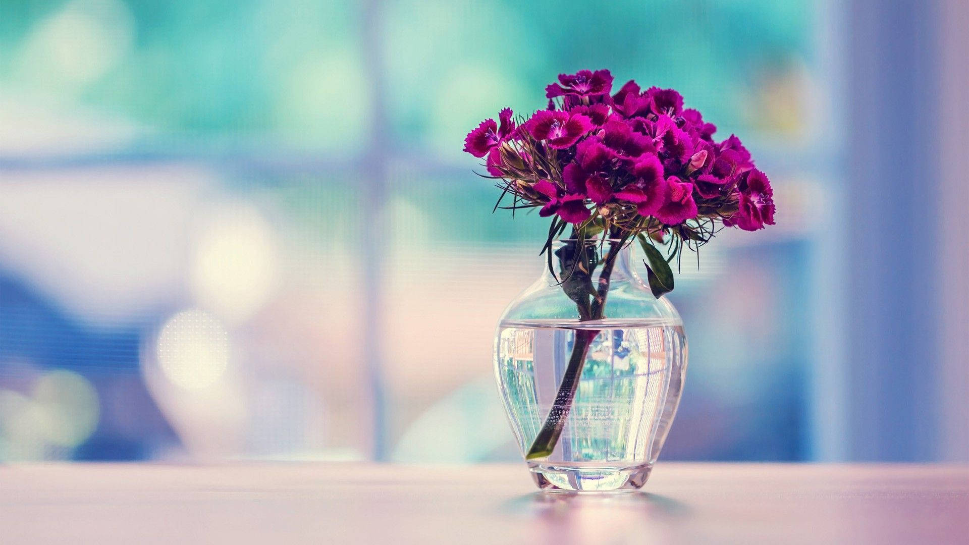 Beautiful Hd Flowers In A Vase Background