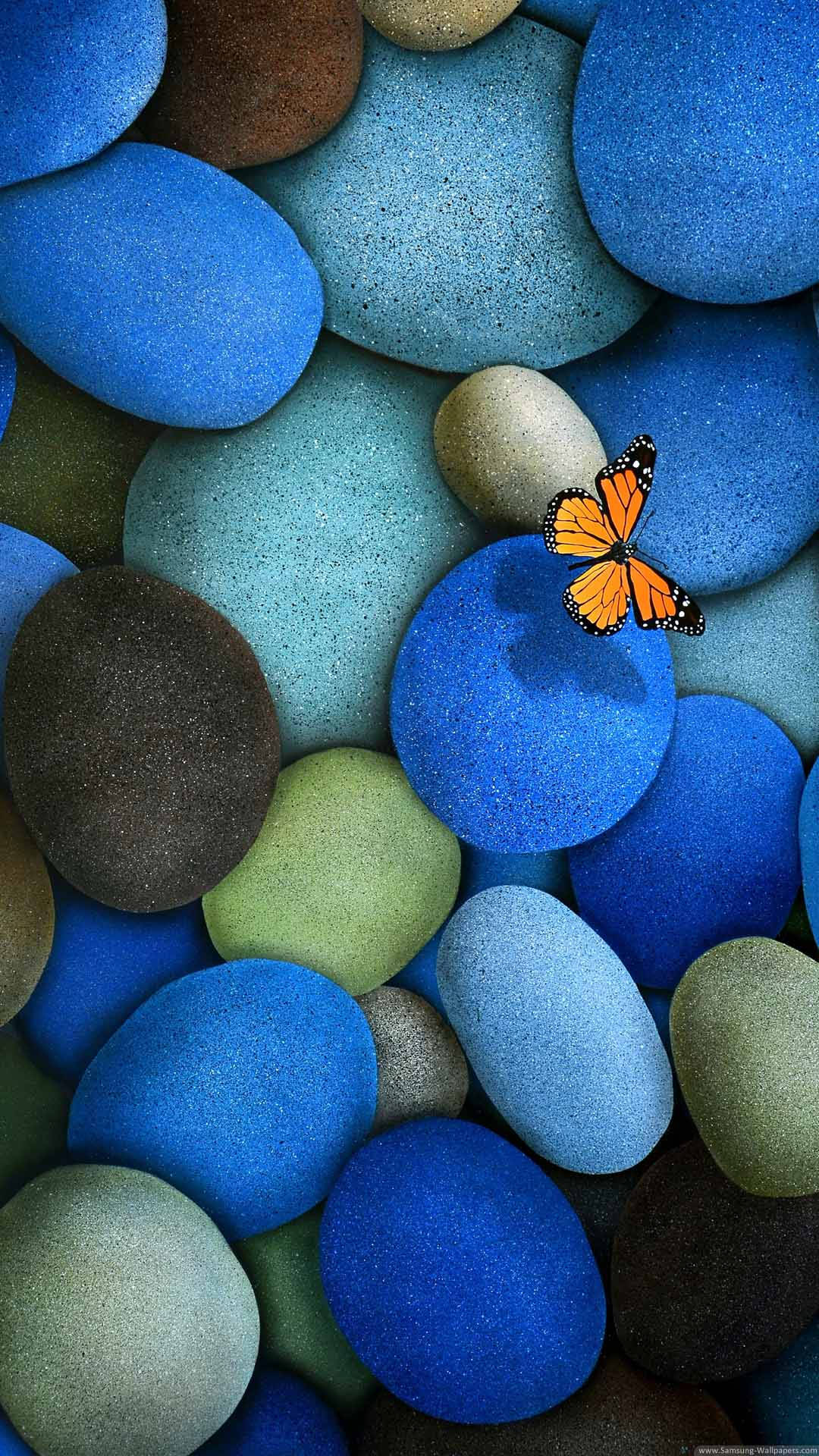 Beautiful Hd River Stones And Butterfly Background