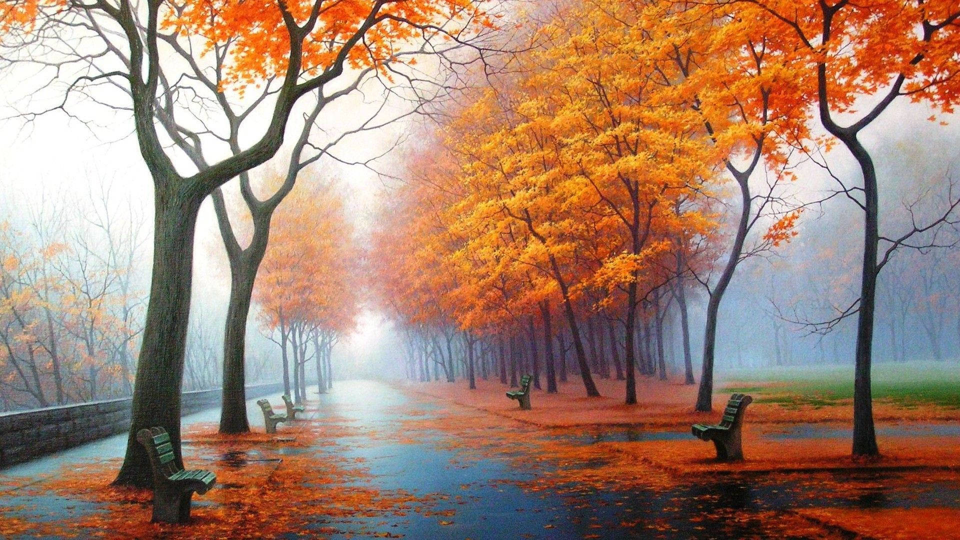 Beautiful Hd Trees With Orange Leaves Background
