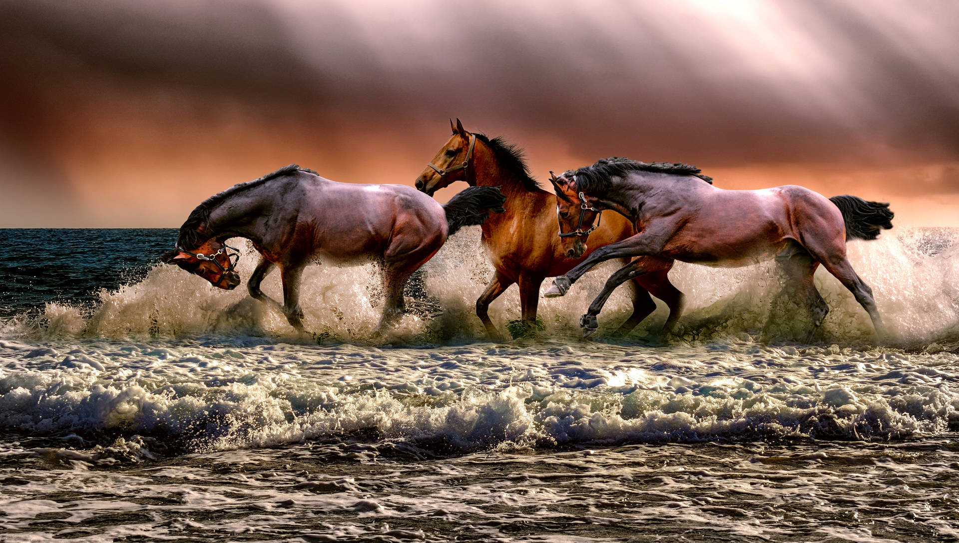 Beautiful Horses Treading The Sea Background