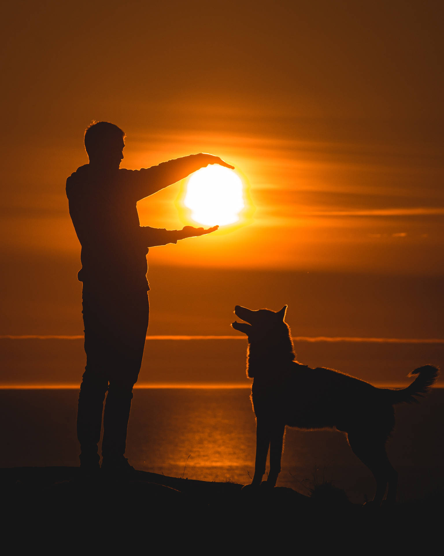 Beautiful Iphone Man Dog Sun Background
