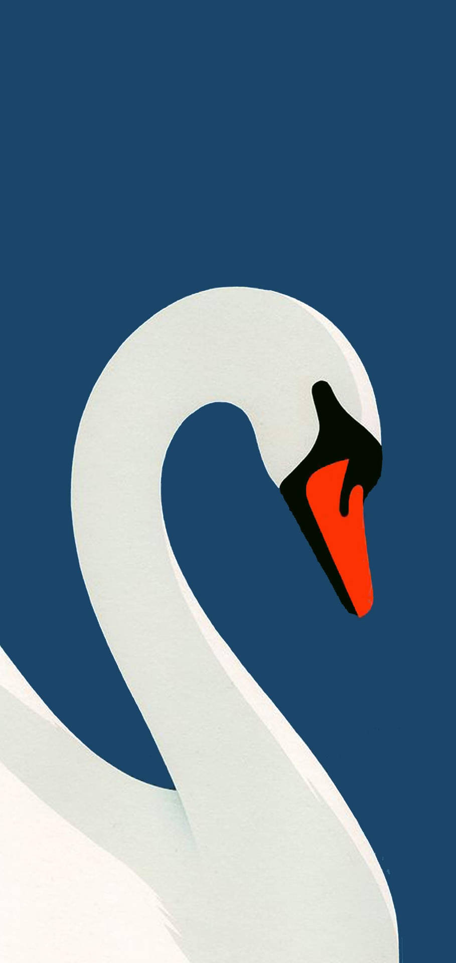 Beautiful Iphone Swan