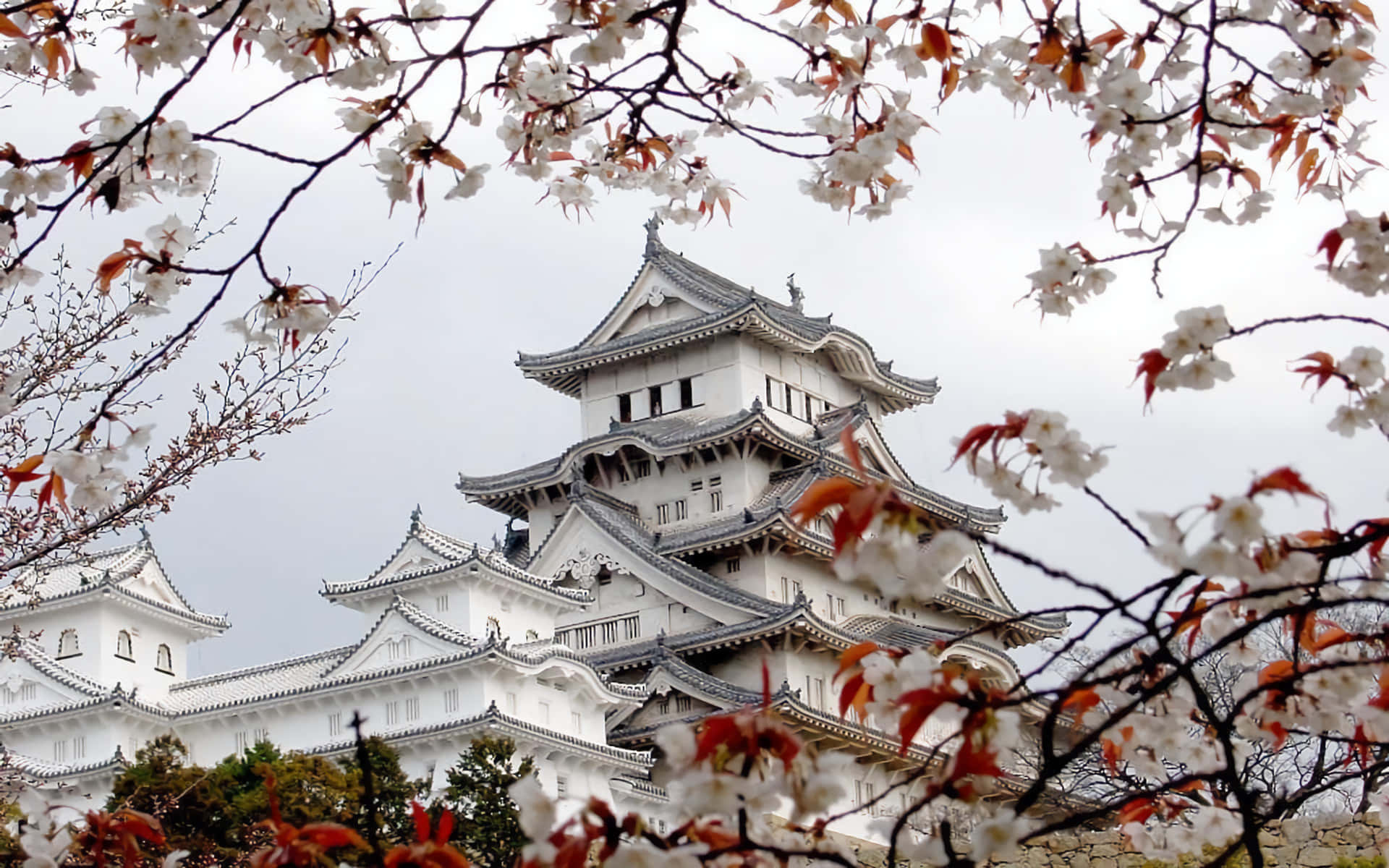 Beautiful Japanese-inspired Aesthetic Desktop Background