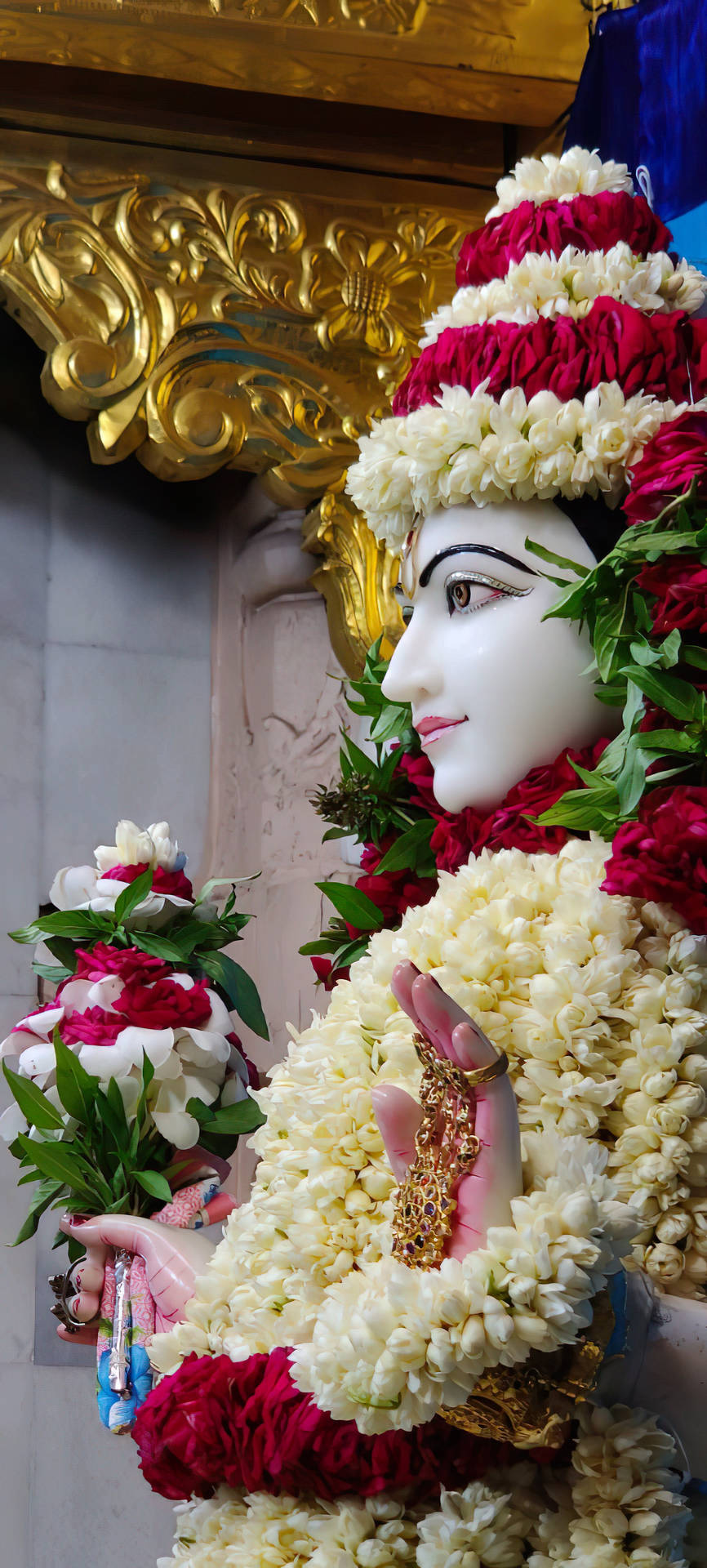 Beautiful Krishna Maharaj Statue Background