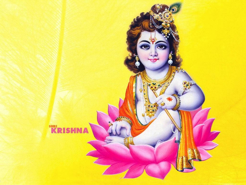 Beautiful Krishna On Lotus Flower Background