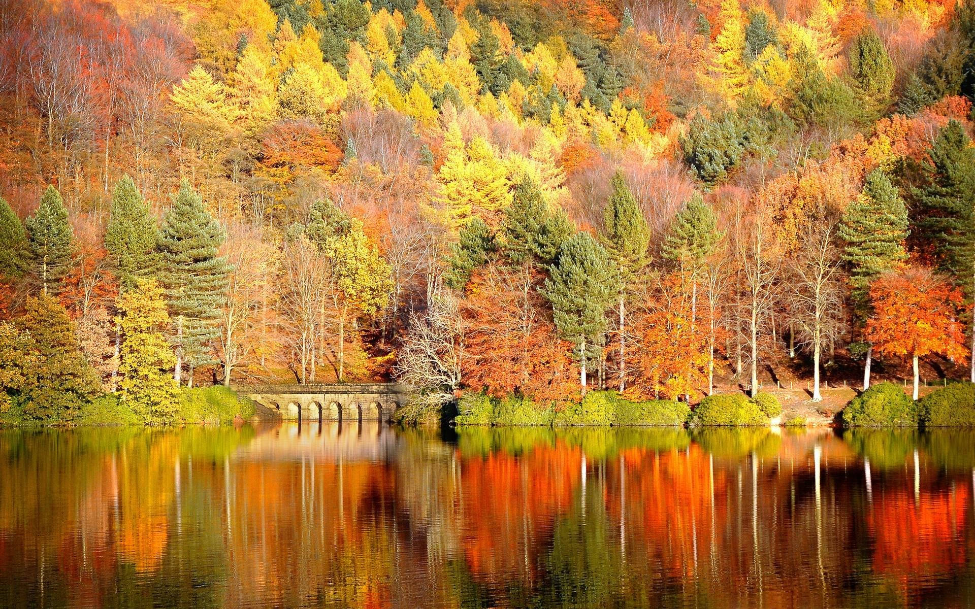 Beautiful Lake Fall Desktop Background