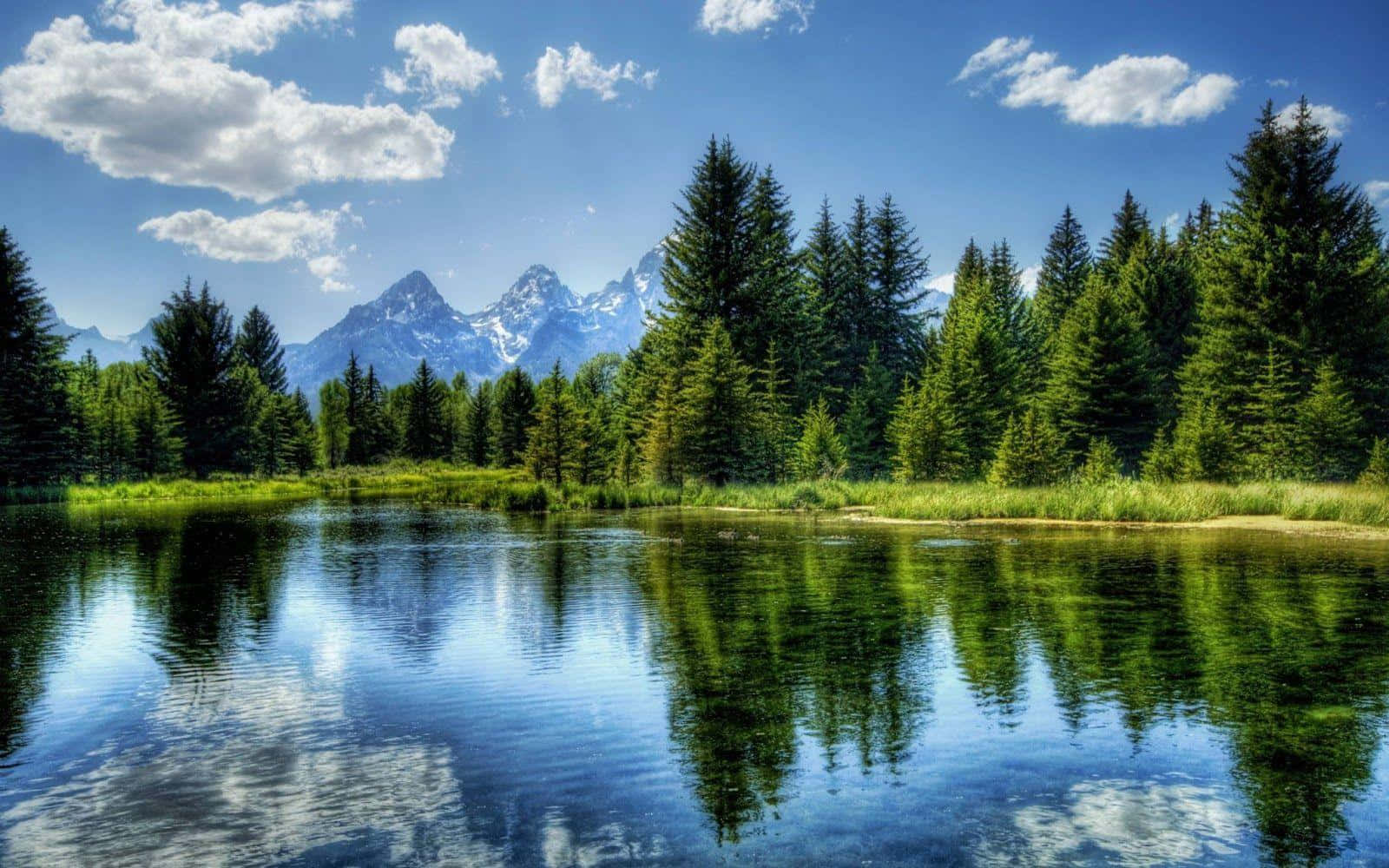 Beautiful Lake Todd In Oregon Background