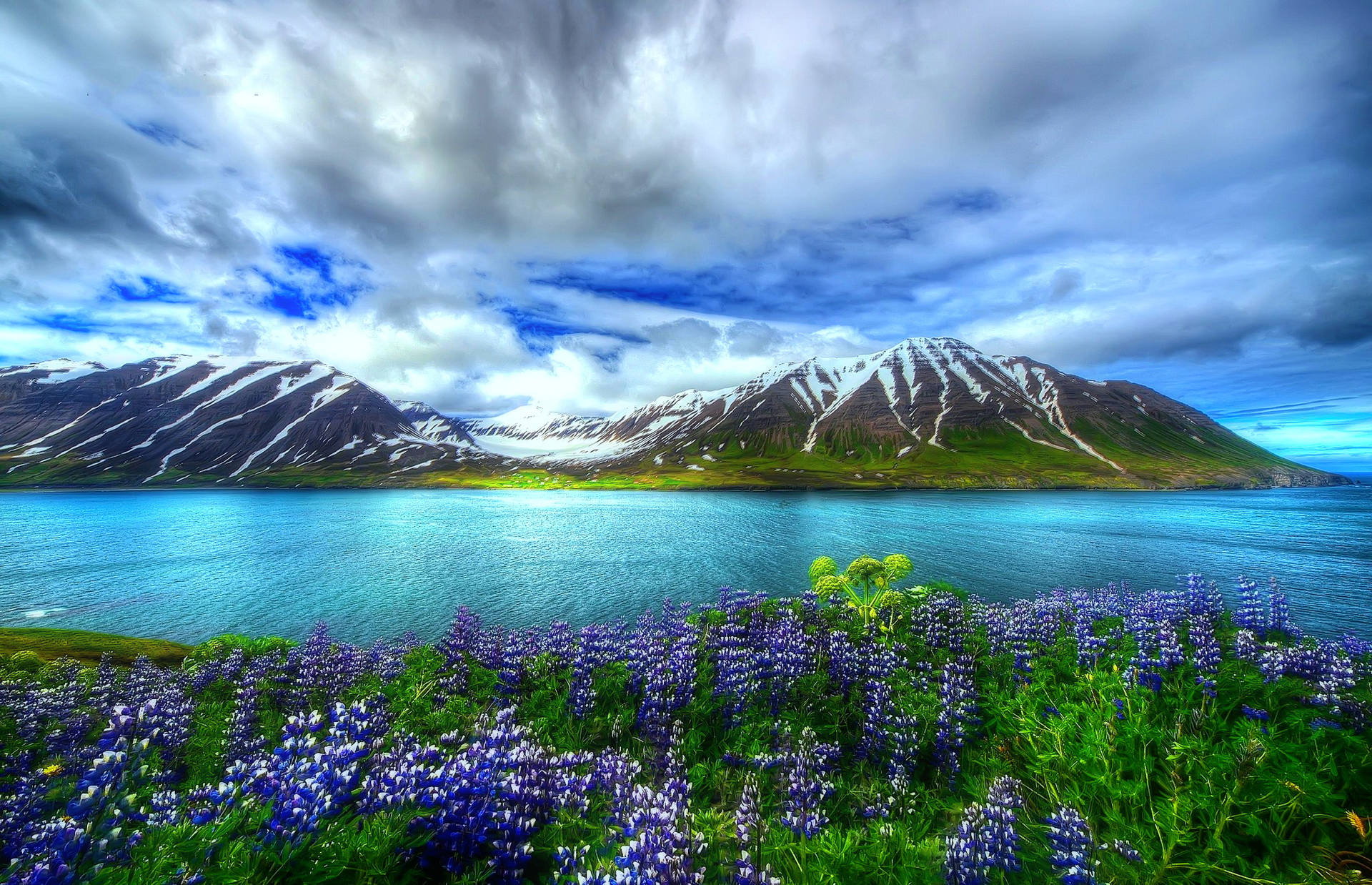 Beautiful Landscape Flower Island Background