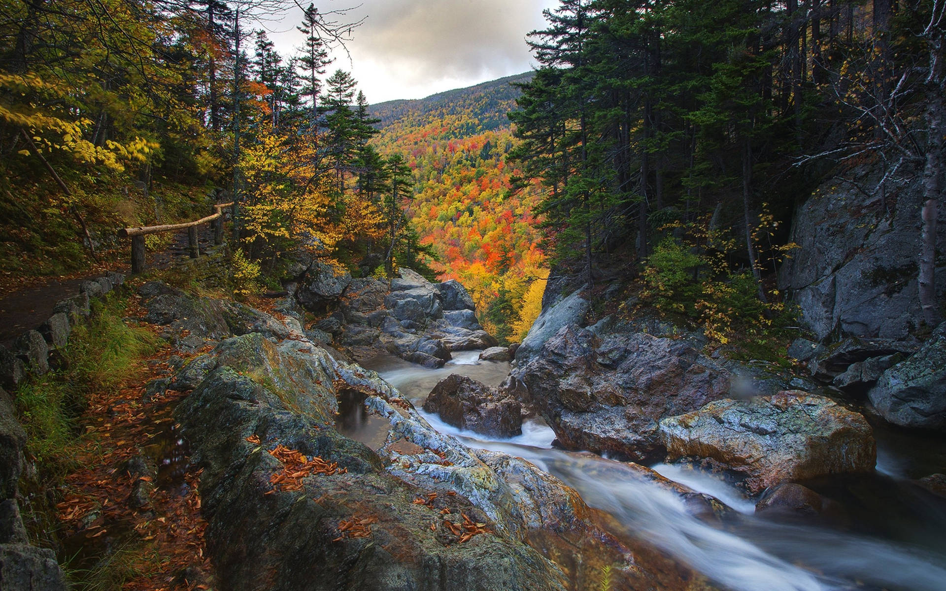 Beautiful Landscape Flowing River Background