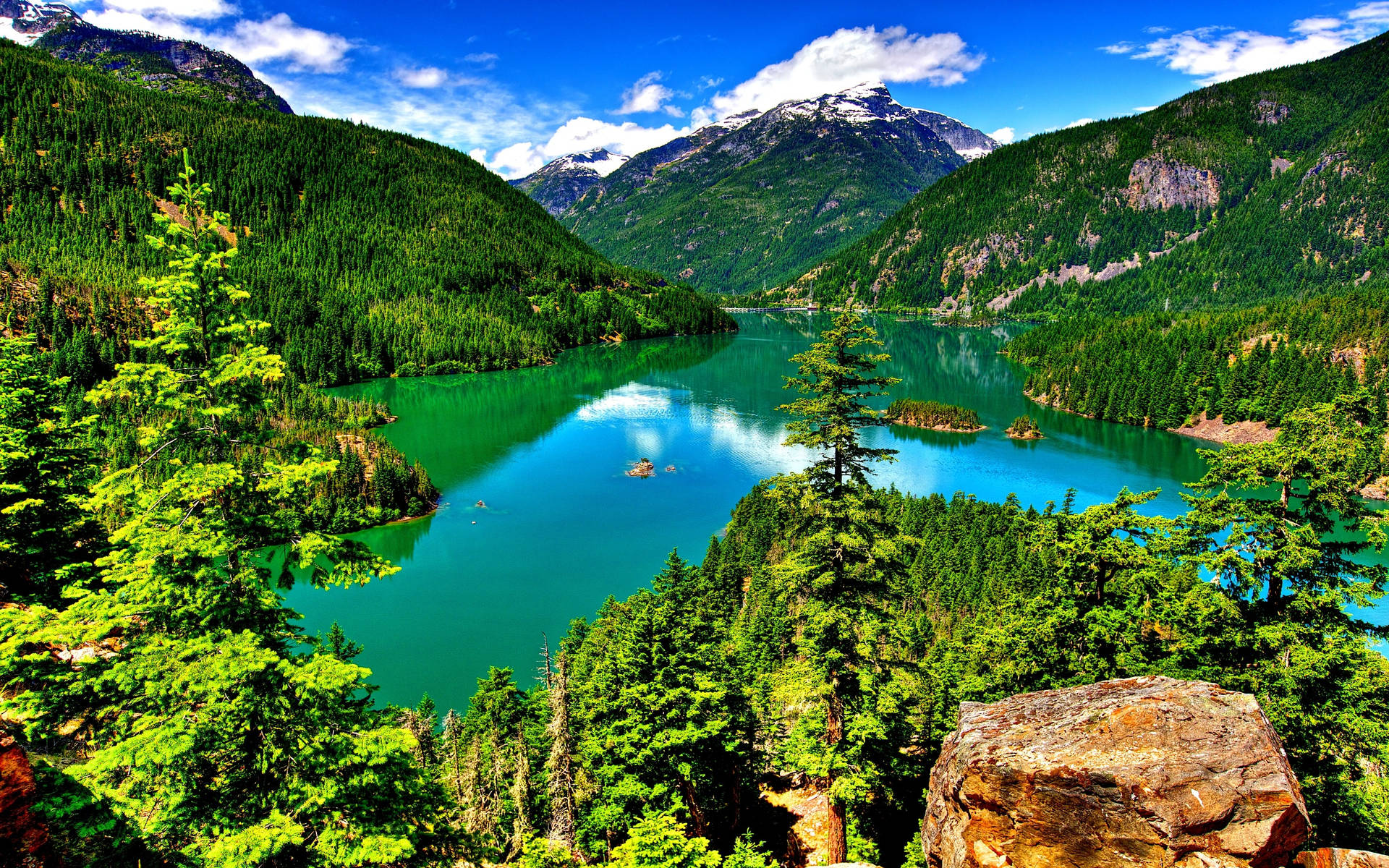 Beautiful Landscape Forest Lake Background