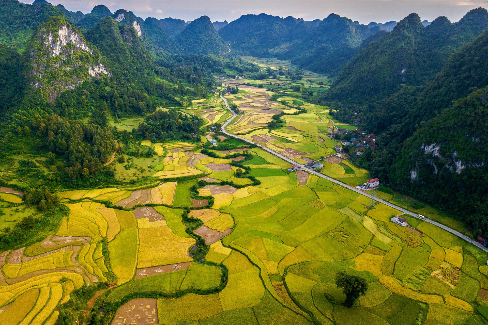 Beautiful Landscape Grass Covered Land Background