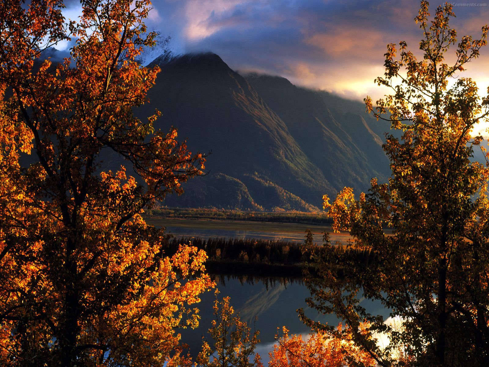 Beautiful Landscape Mountain Between Trees Background