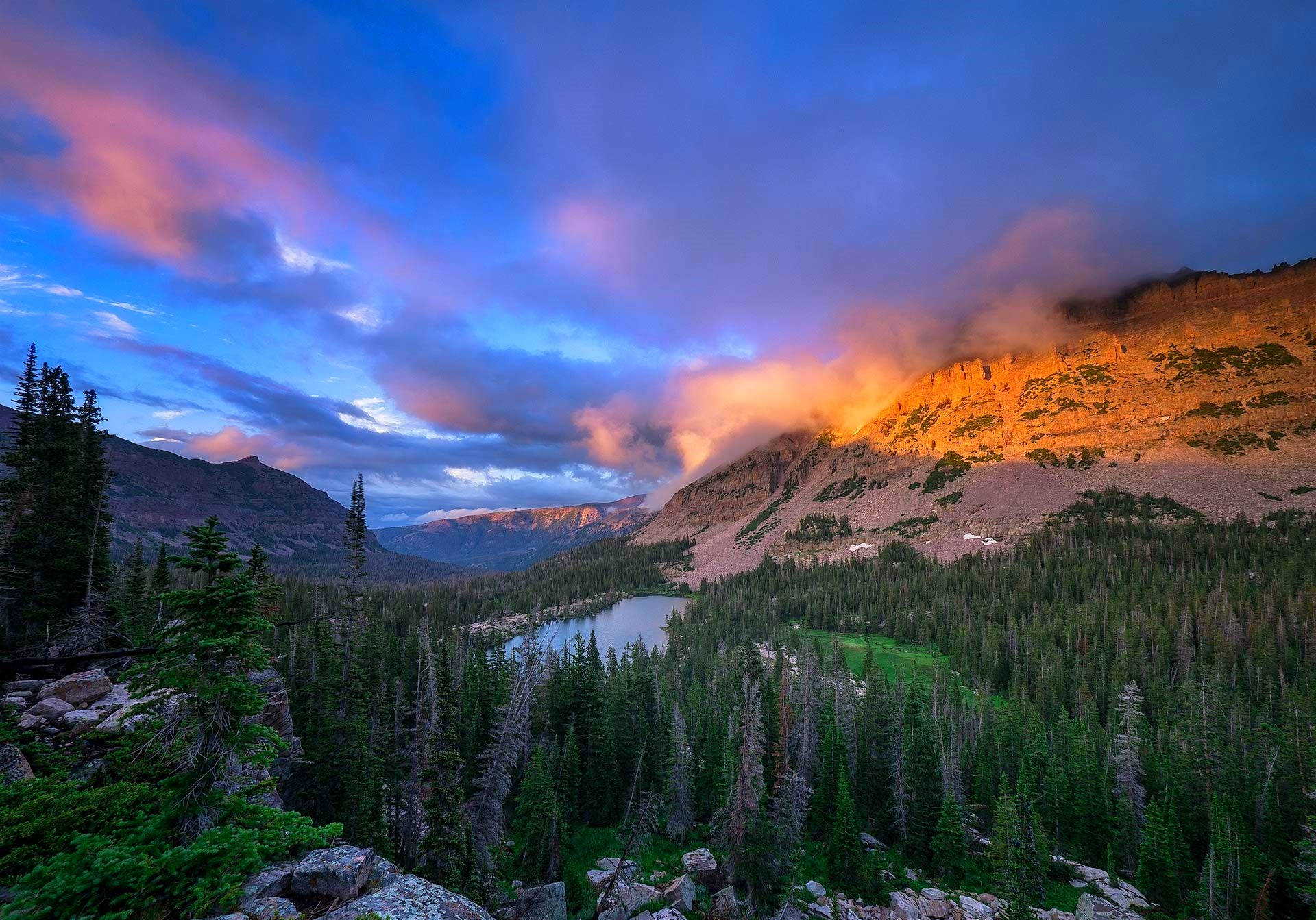 Beautiful Landscape Mountain With Pine Trees Background