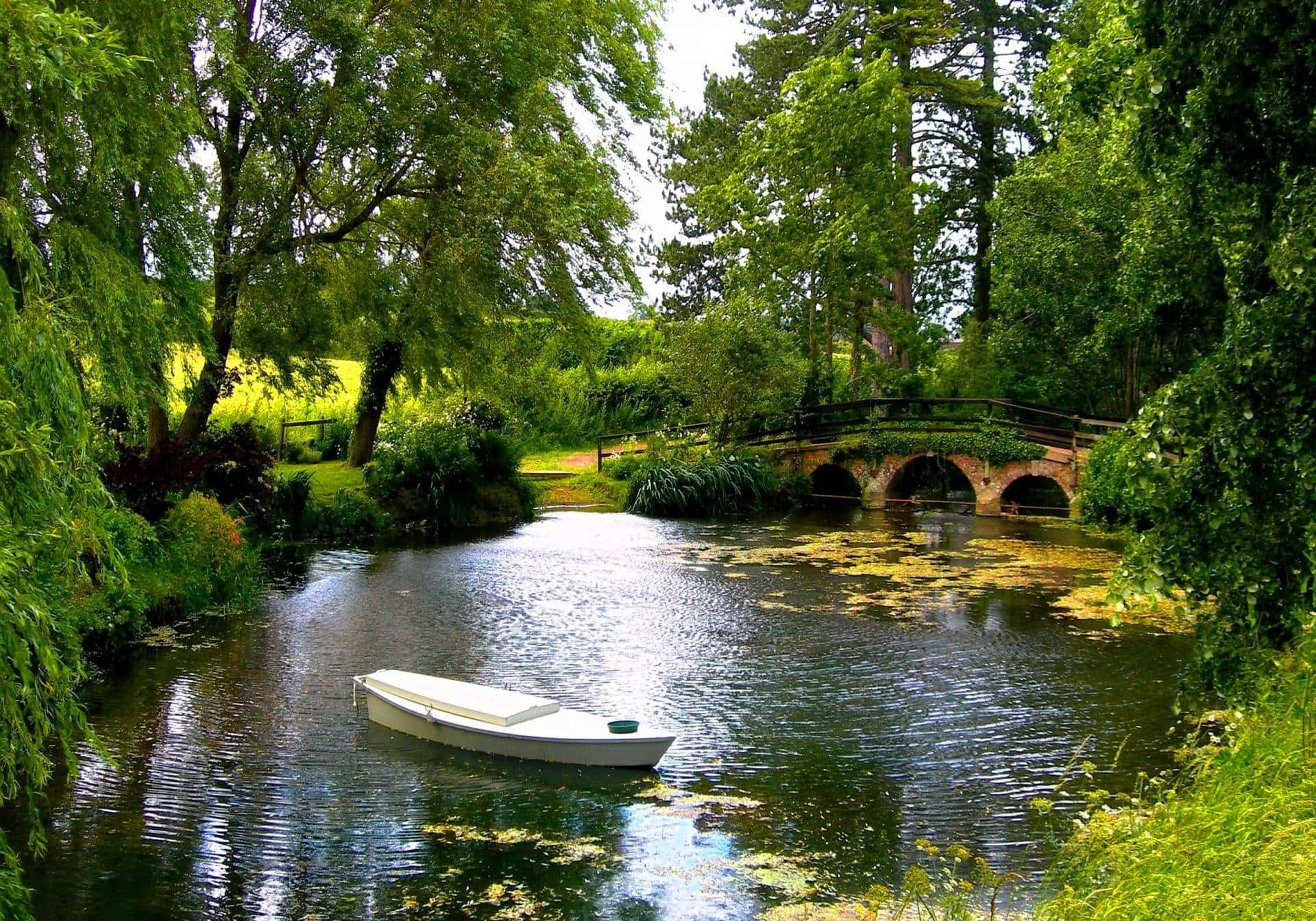 Beautiful Landscape With Pond Background