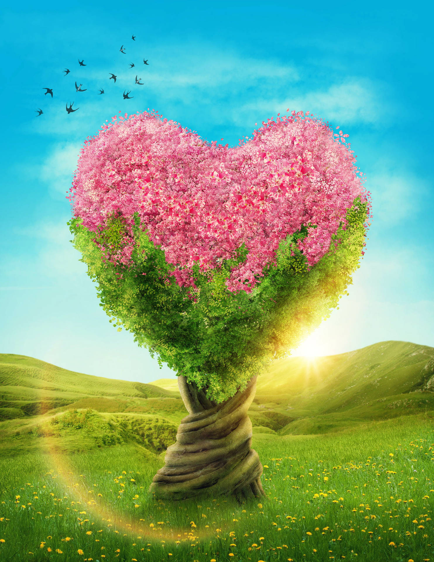 Beautiful Love Nature Pink Tree Background