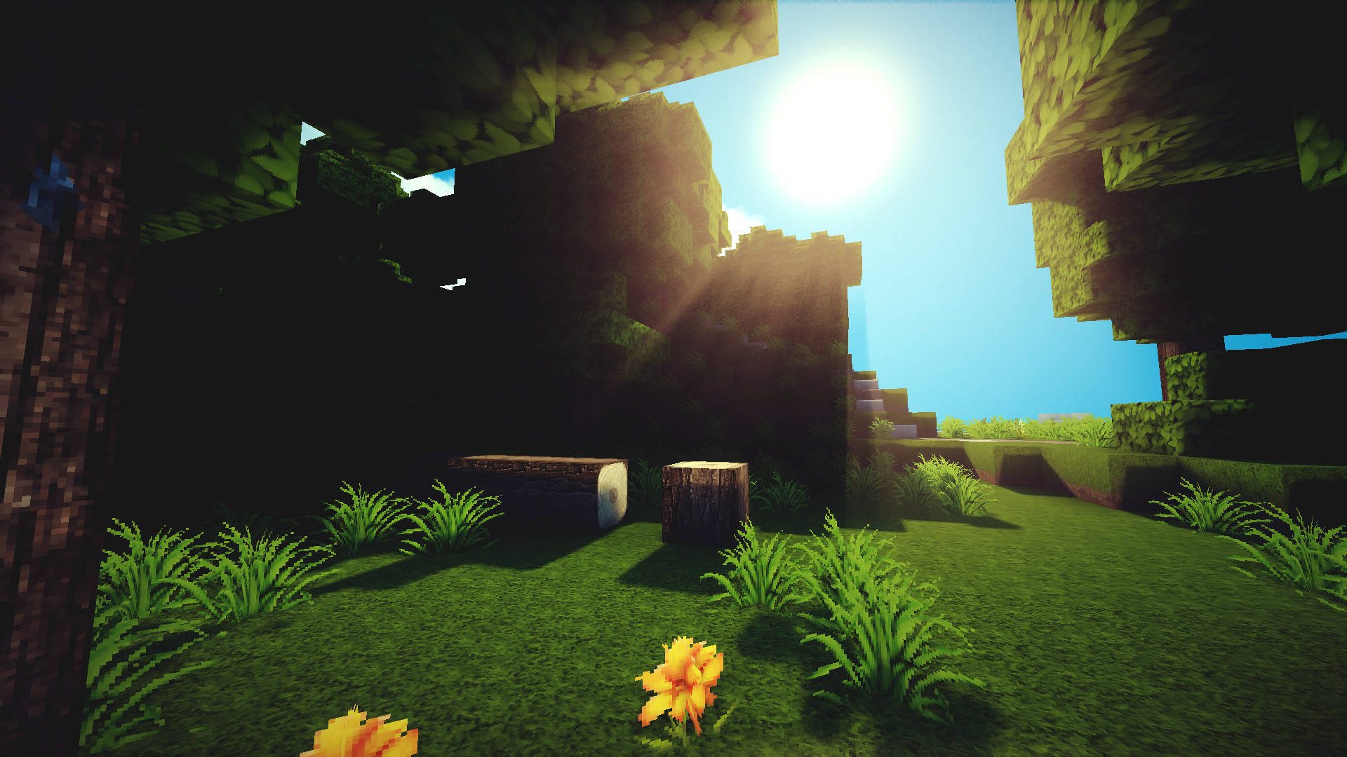 Beautiful Minecraft Forest With Sun Background