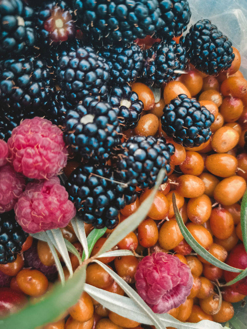 Beautiful Mixed Berries Boysenberry