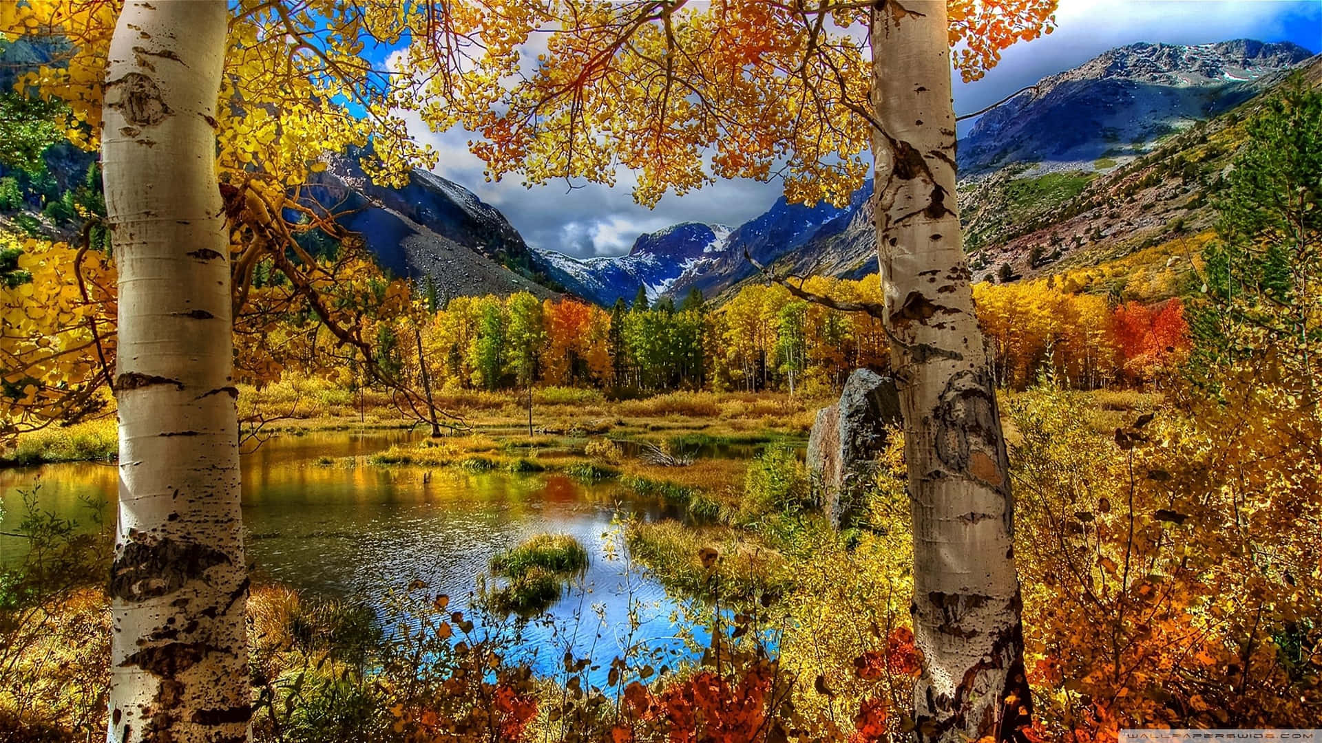 Beautiful Moments In Nature: A Peaceful Look Of A Calm Autumn Day Background