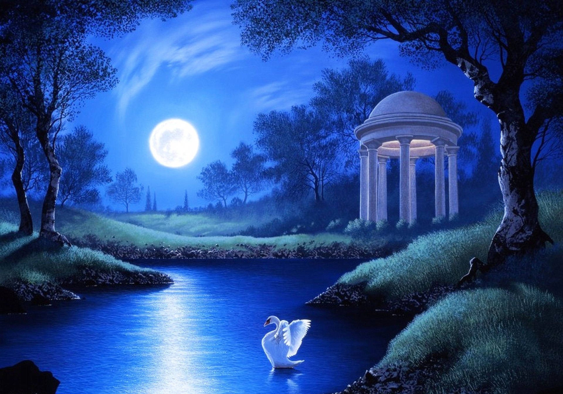 Beautiful Moon Over A Swan Lake Background