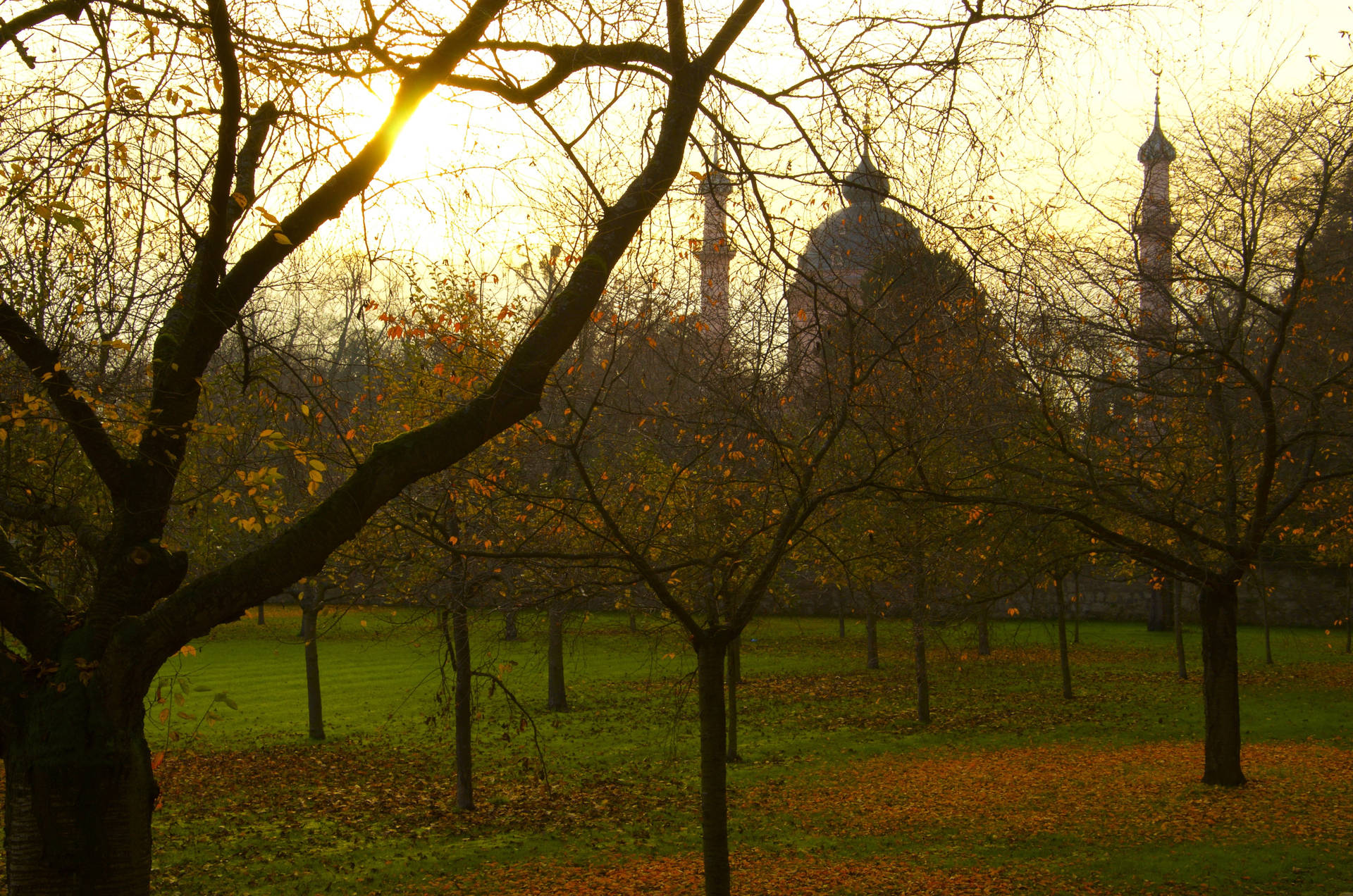 Beautiful Mosque In Schwetzingen Palace Background