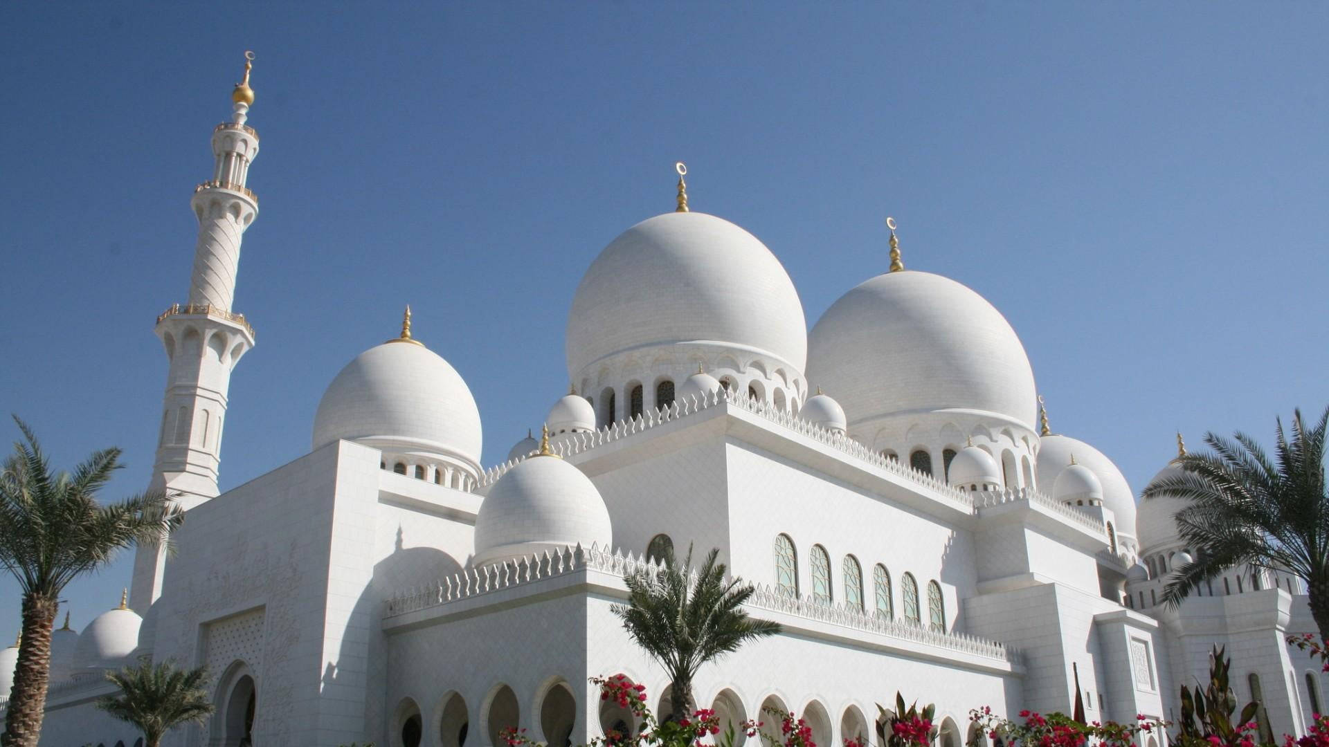 Beautiful Mosque Sheikh Zayed Domes Background