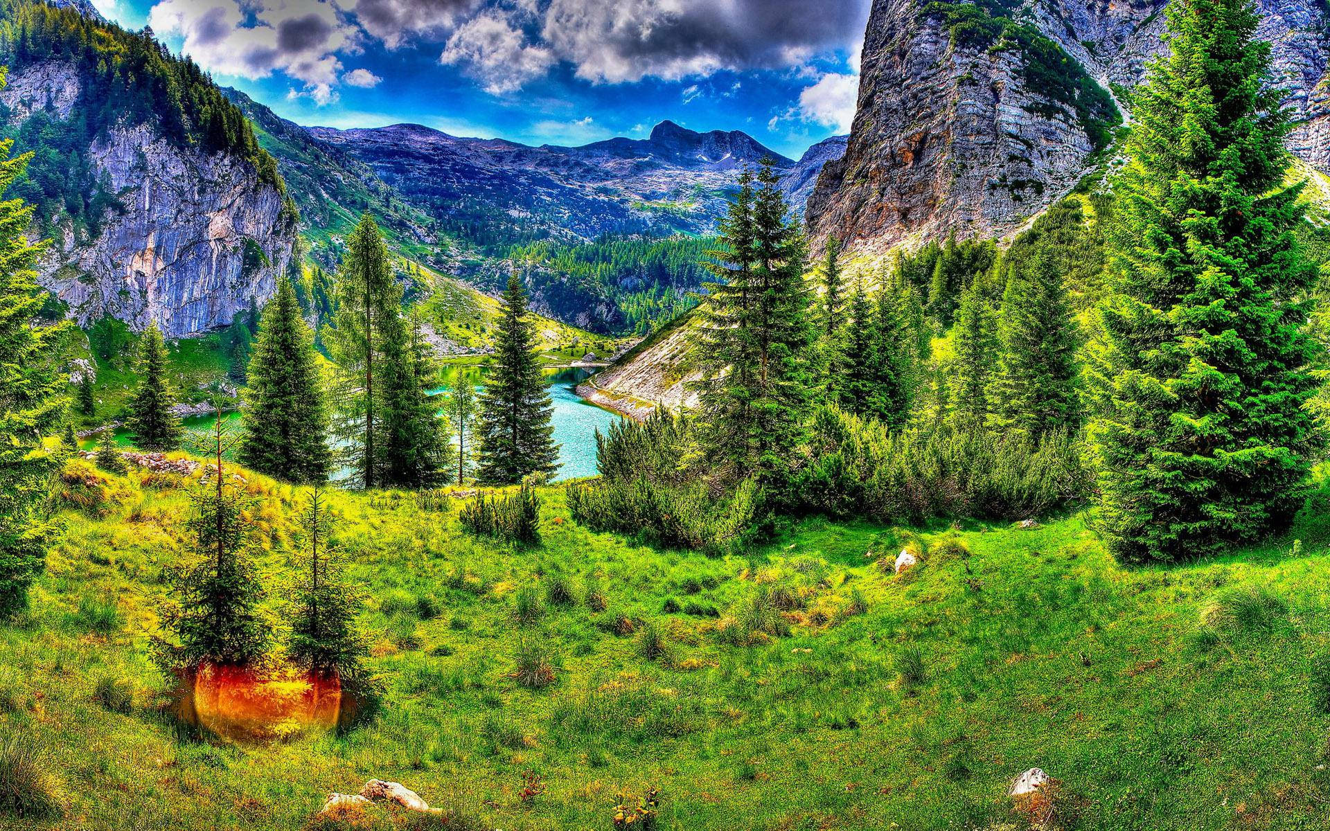 Beautiful Mountain Green Grass View Ultra Hd Desktop