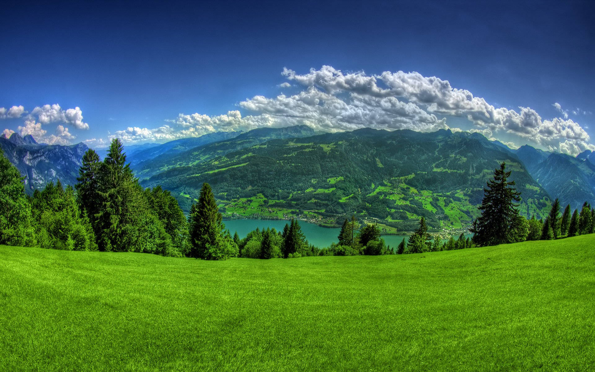 Beautiful Mountain View Green Grass Yard Desktop Background