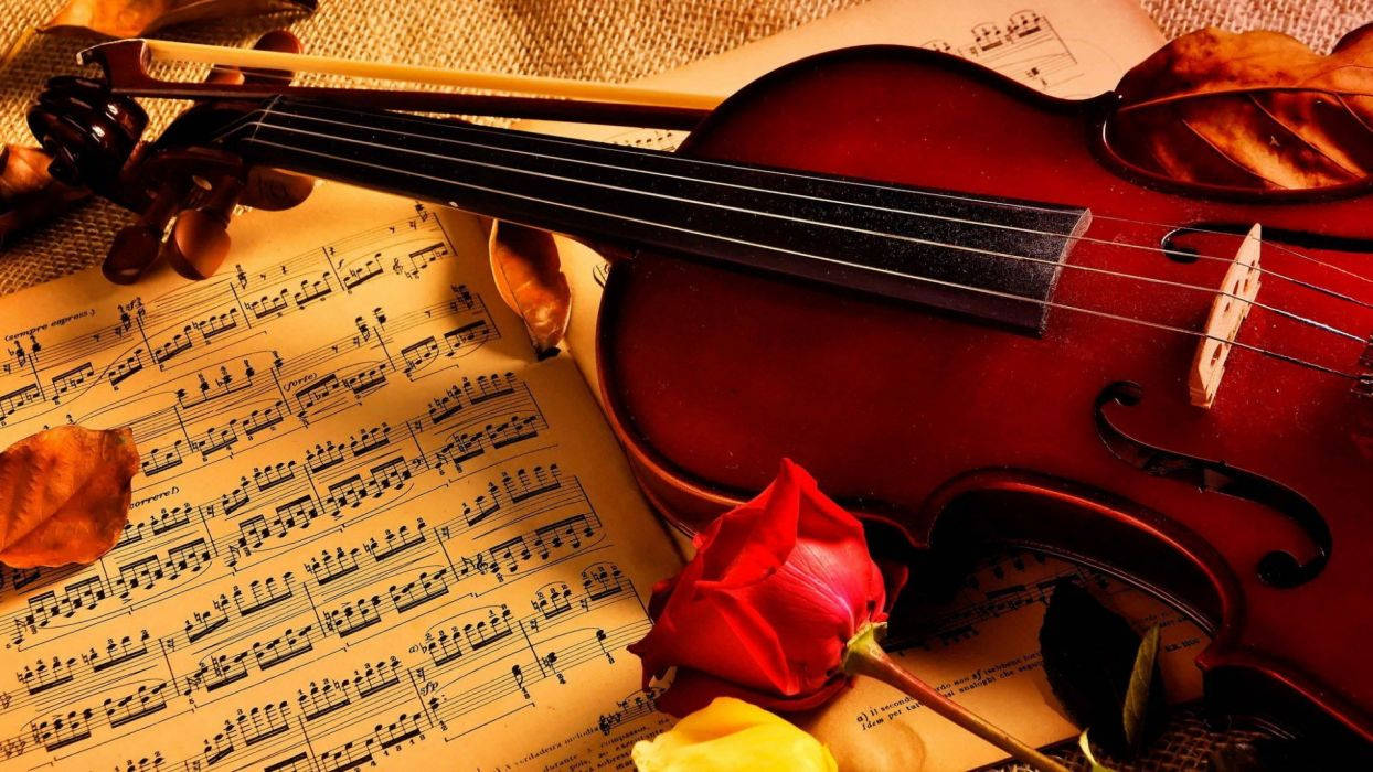 Beautiful Music Violin And Rose Background
