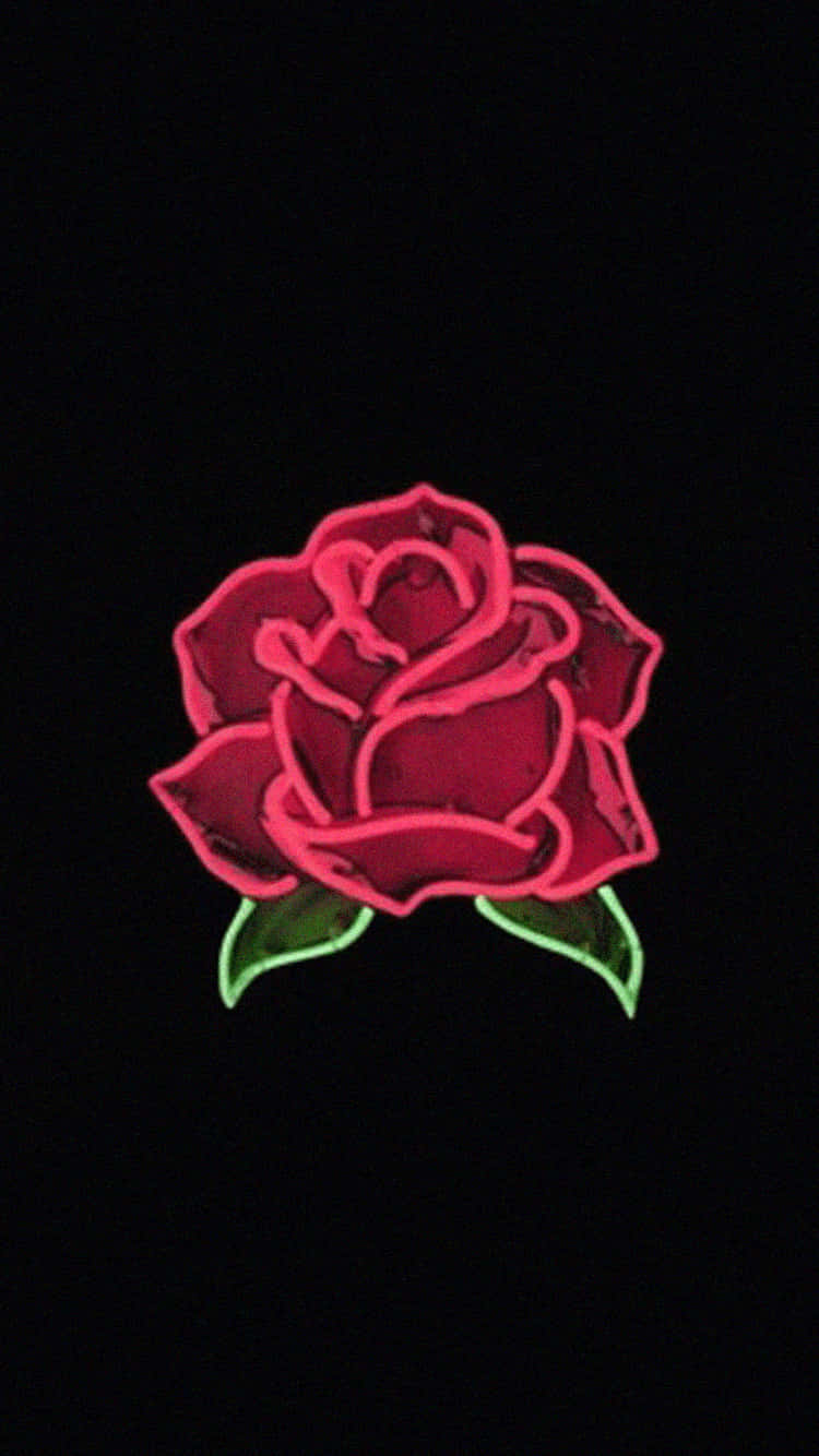 Beautiful Mystique Of A Black Rose Background
