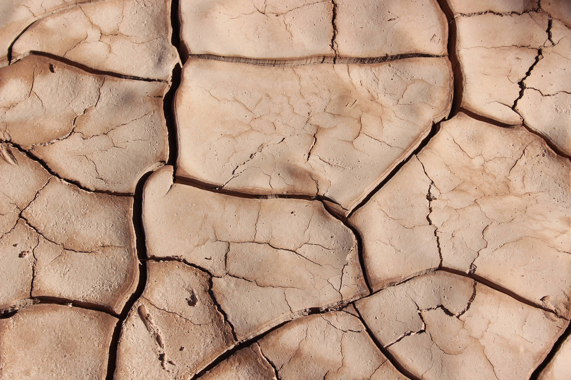 Beautiful Nature Cracked Soil Background