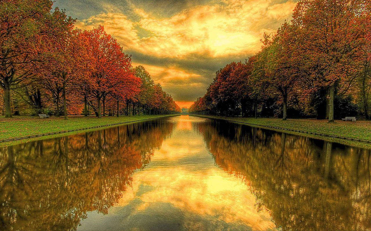 Beautiful Nature Photography Canal Fall Trees Background