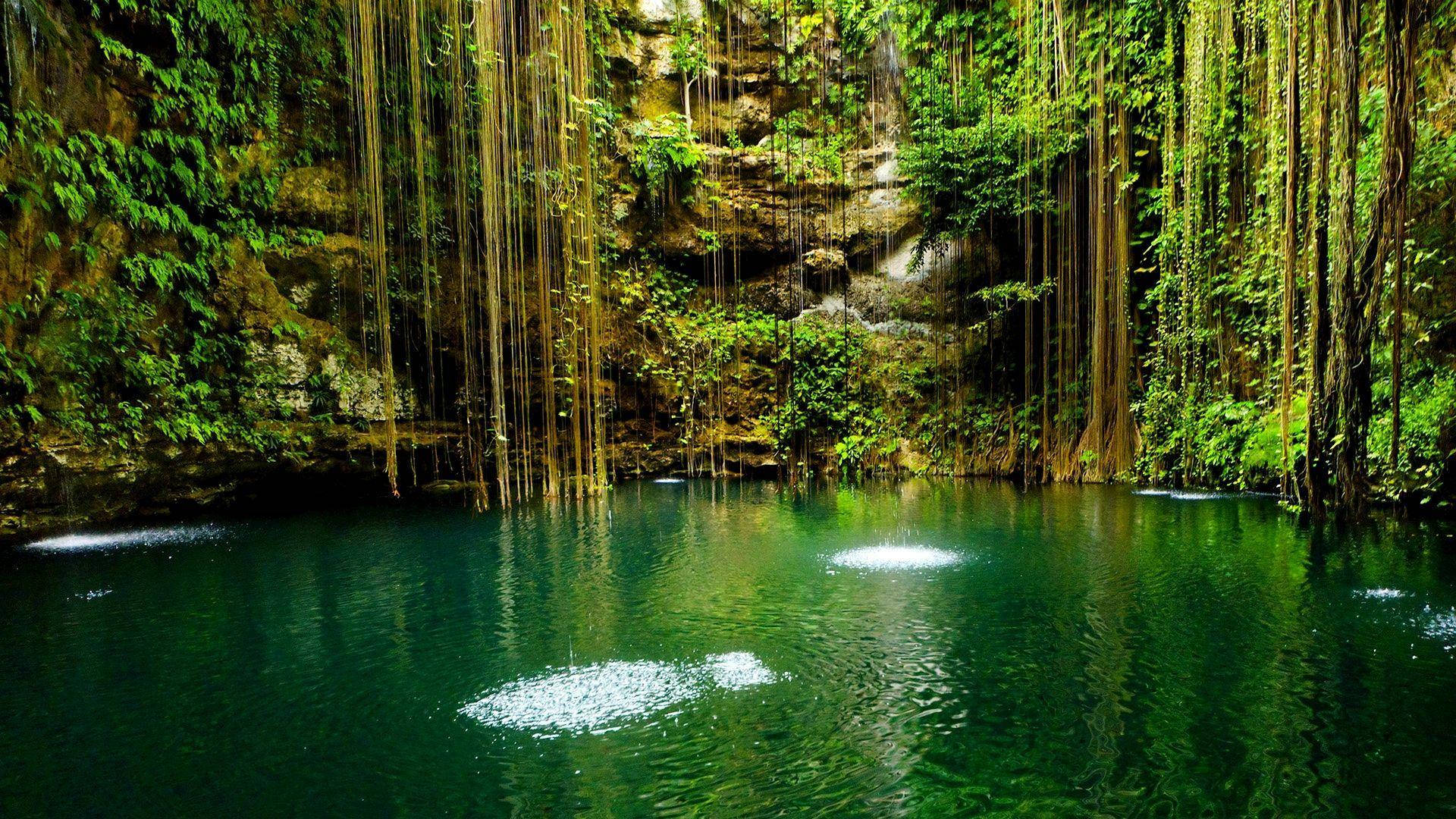 Beautiful Nature Photography Hidden Pond Background