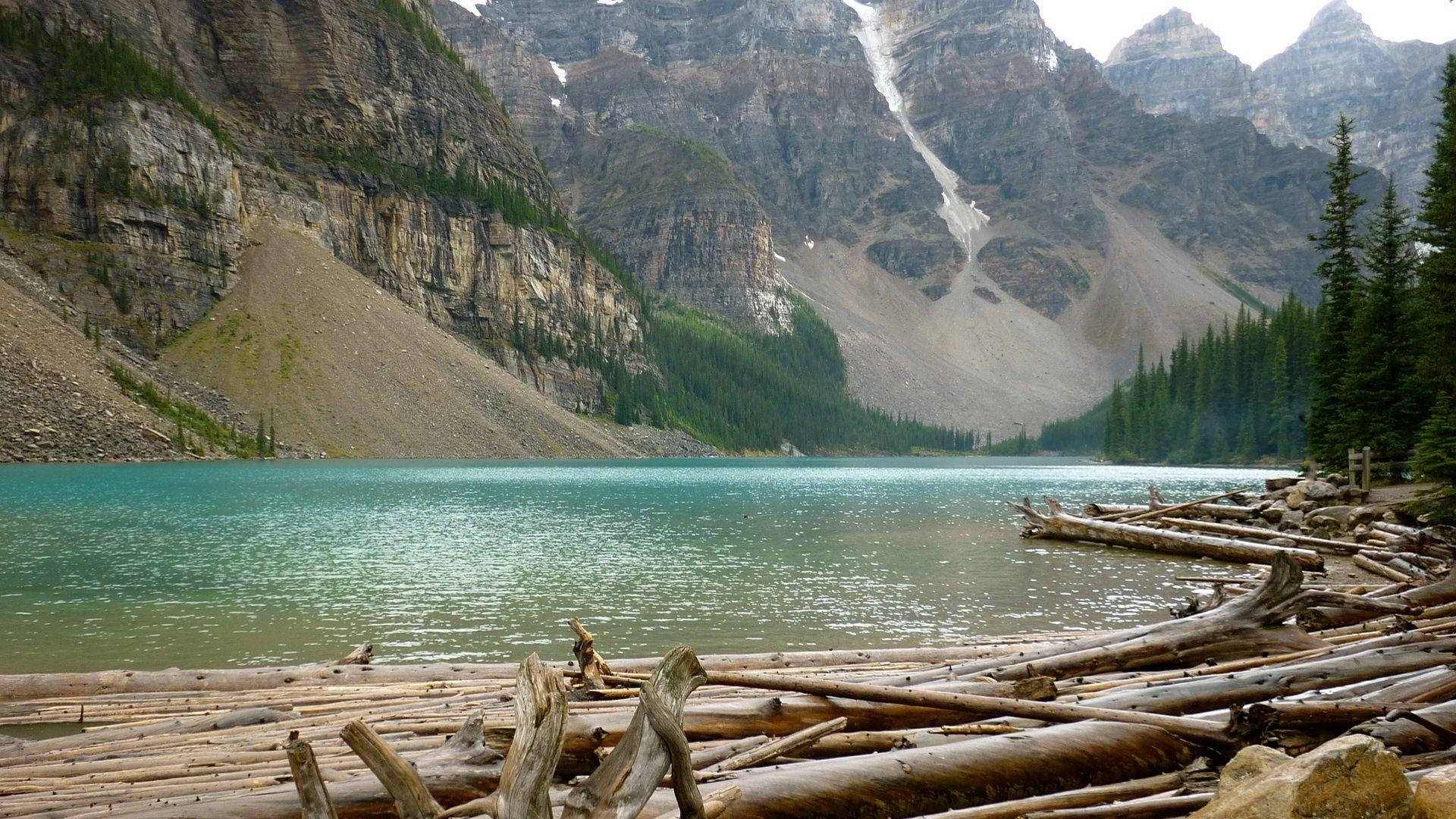 Beautiful Nature Photography Lake Log Mat Background