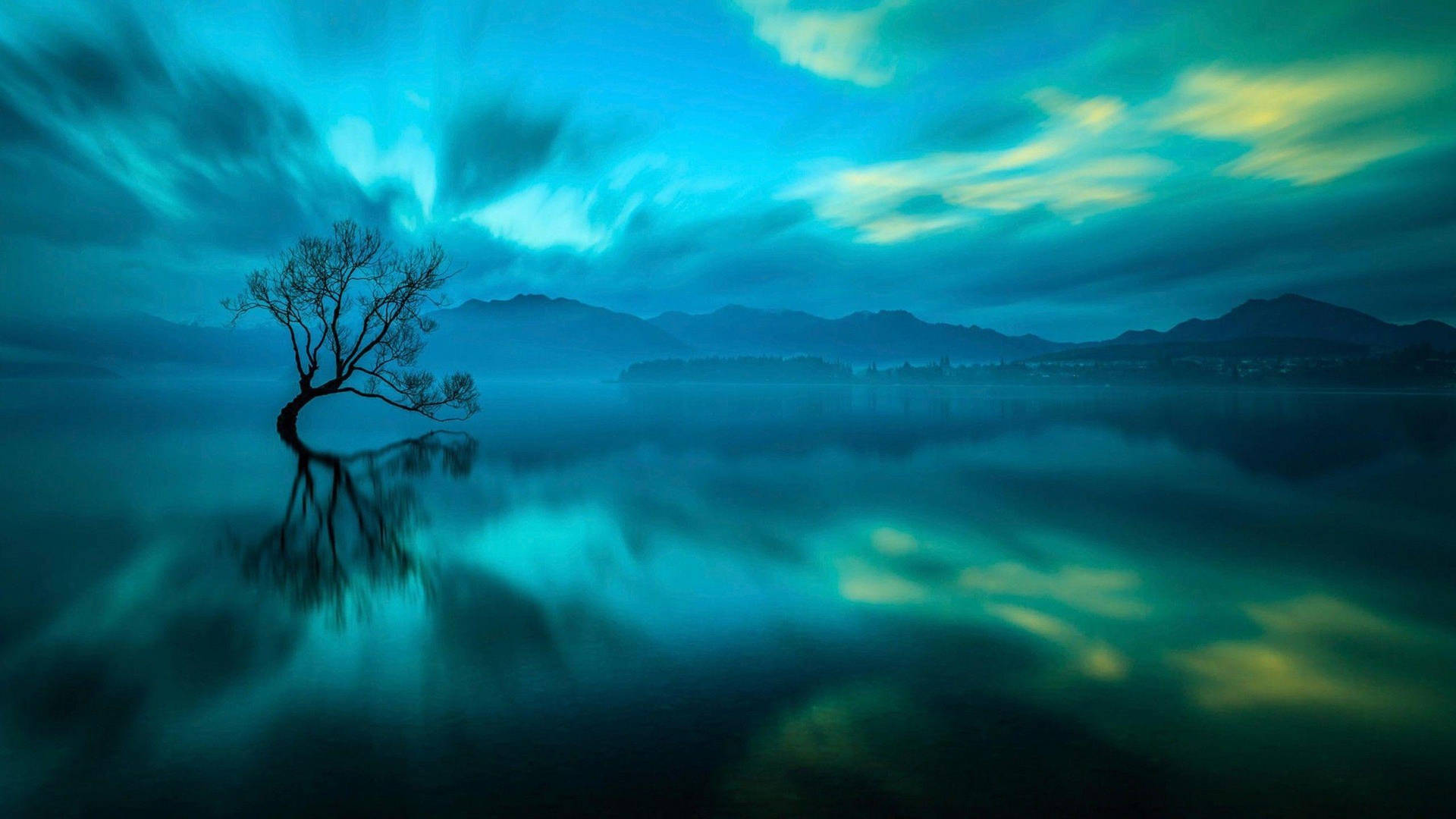 Beautiful Nature Photography Lake Tree