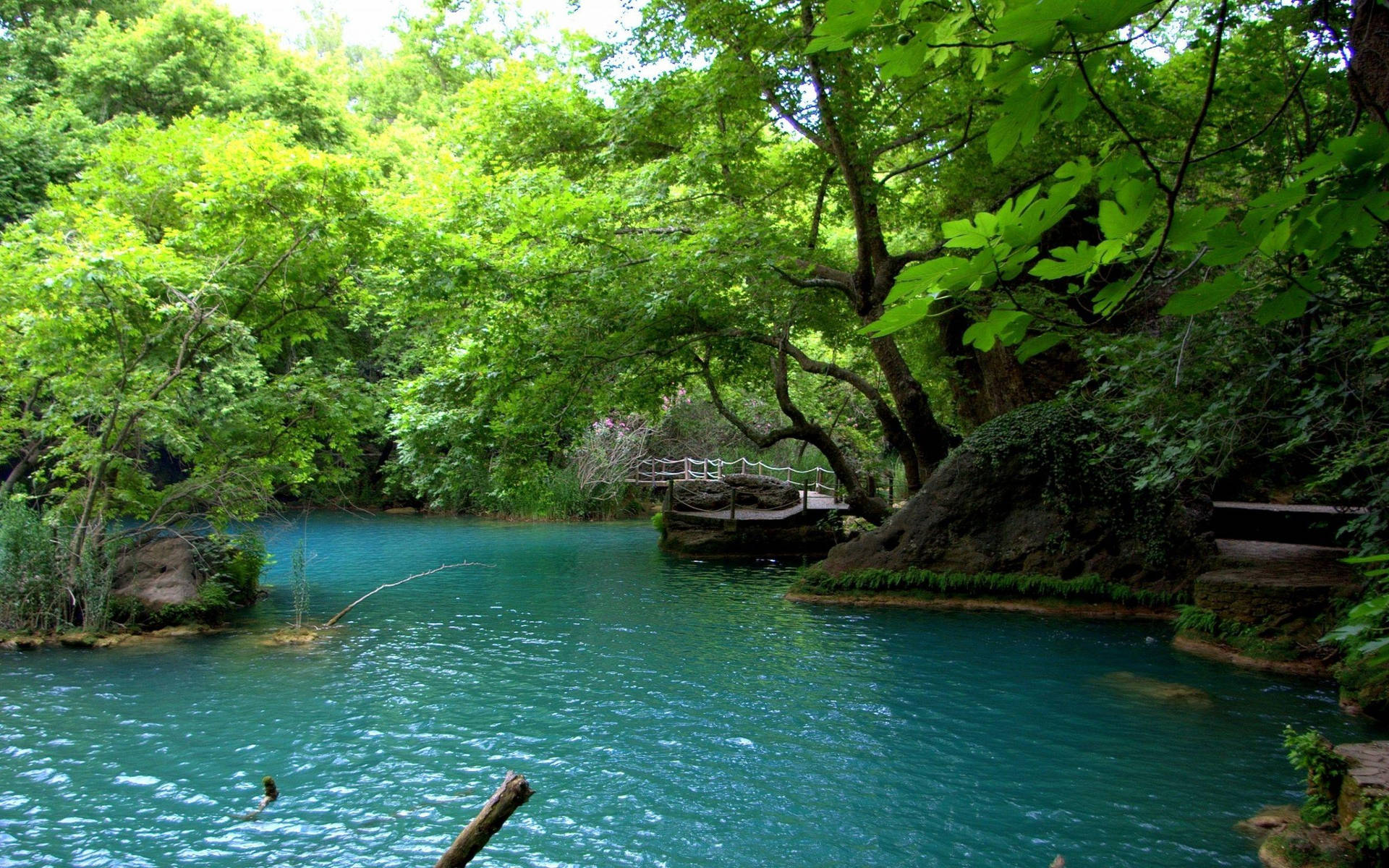 Beautiful Nature Photography Pond