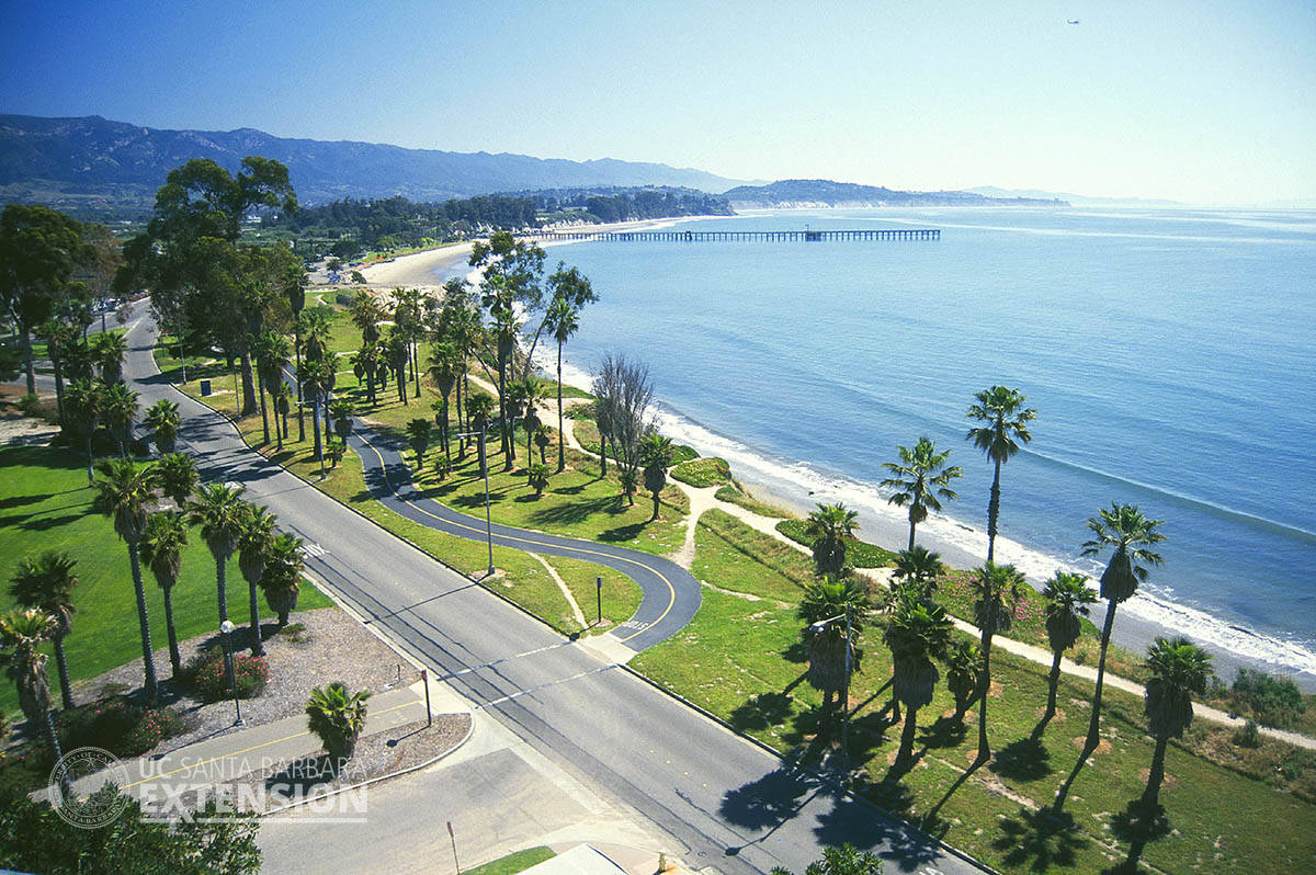 Beautiful Nature Ucsb Campus Background