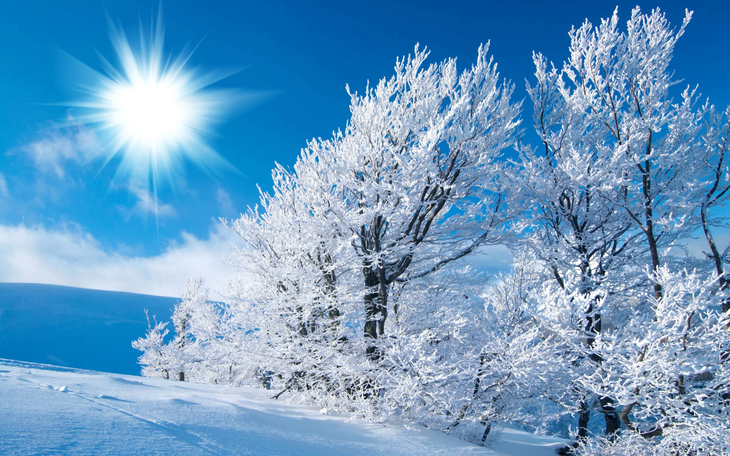 Beautiful Nature Winter Scenery Background