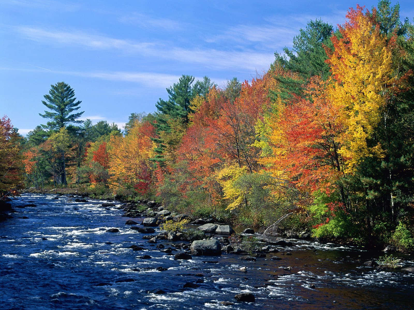 Beautiful Painting New England Summer Background
