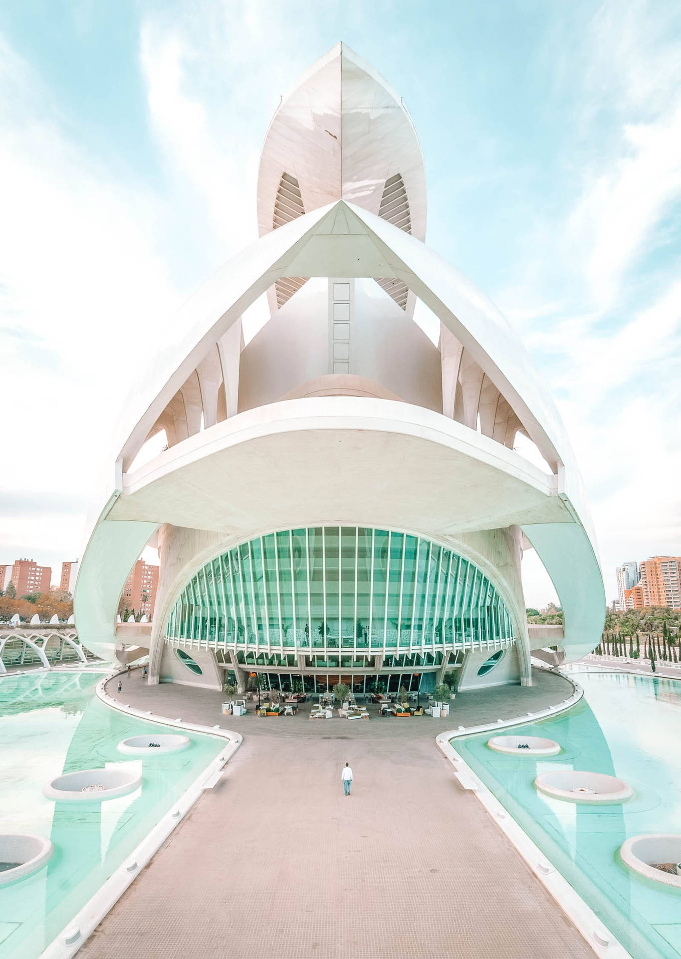 Beautiful Palau De Les Arts Valencia