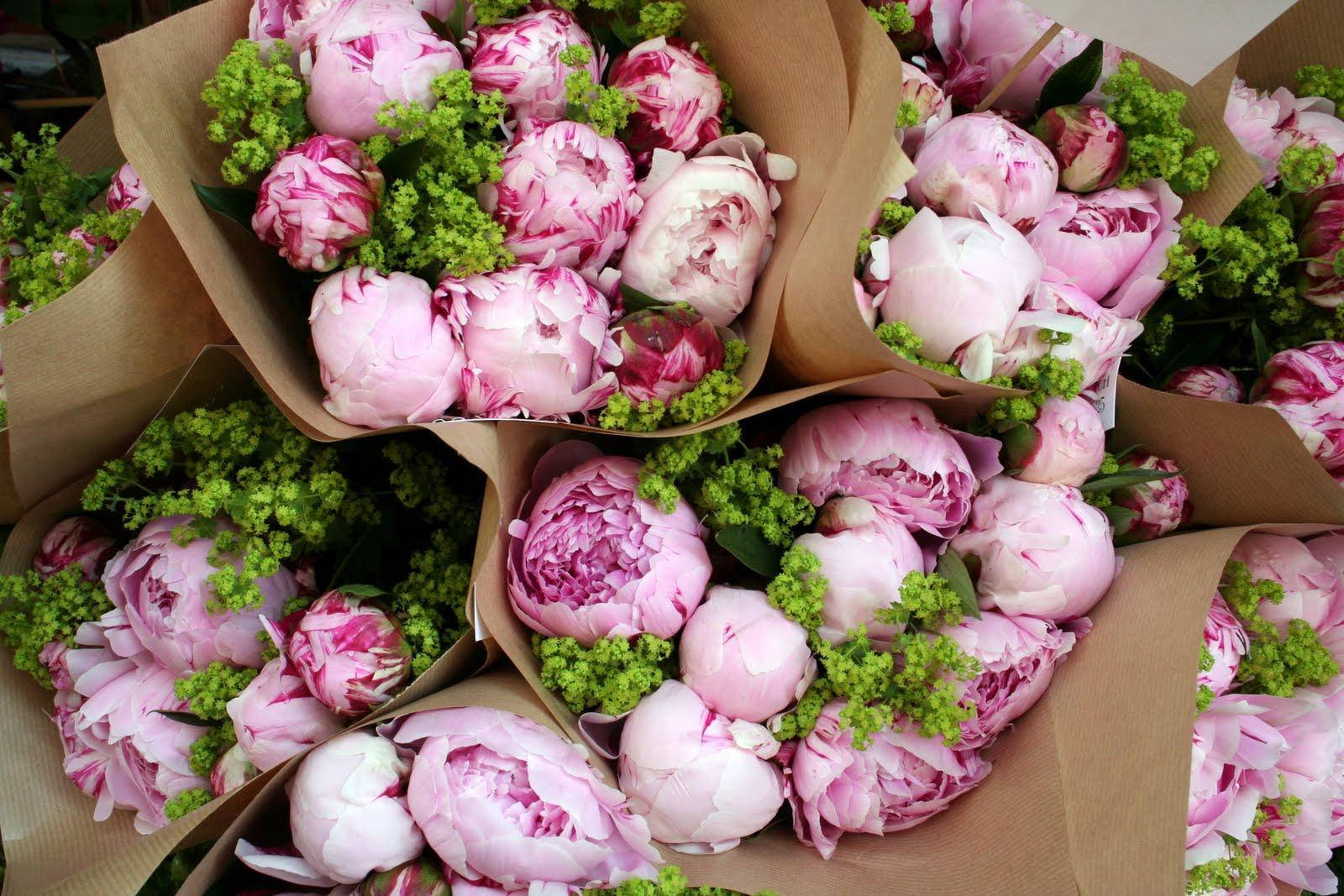 Beautiful Peony Bouquet Wrapped In Brown Paper