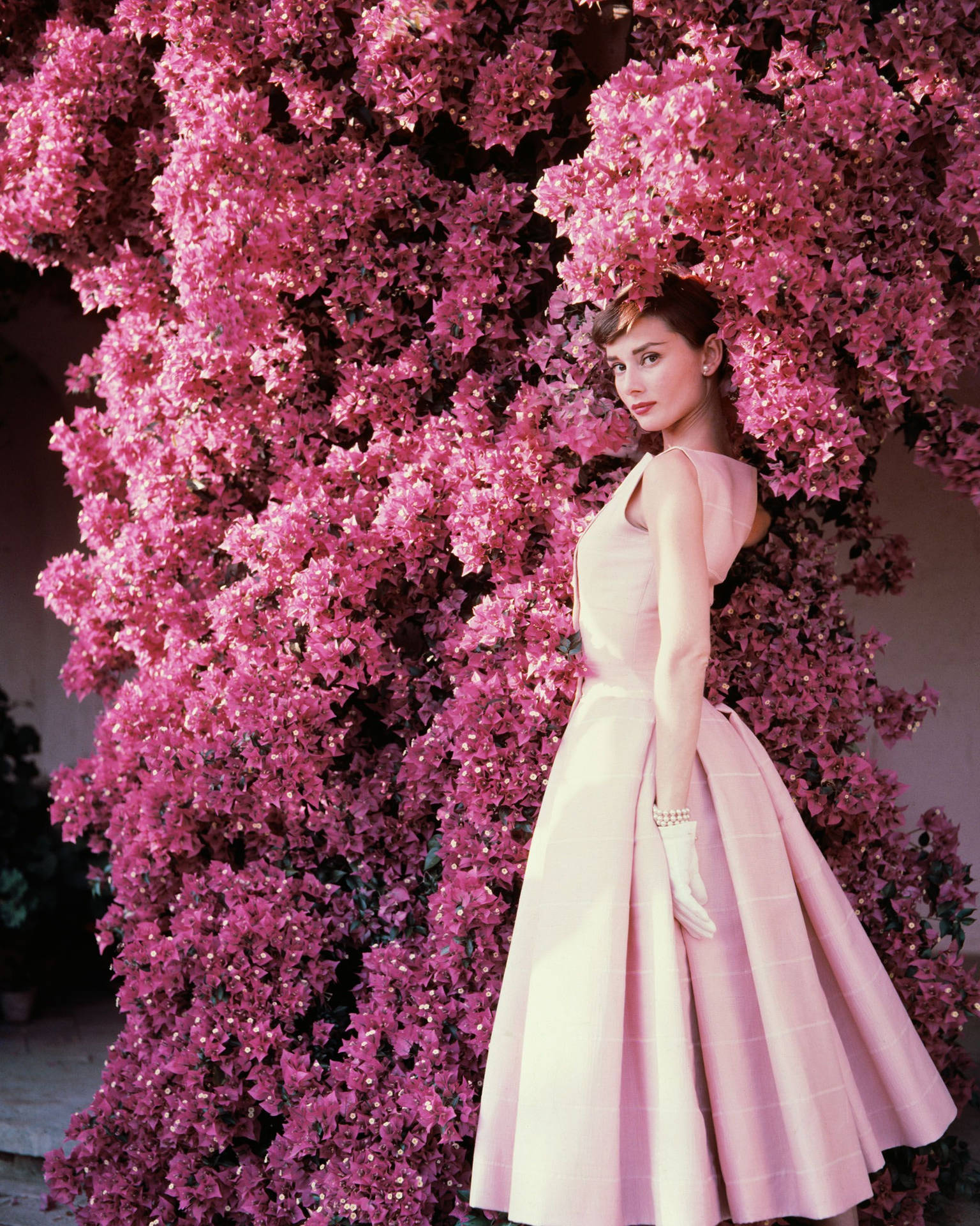 Beautiful Pink Audrey Hepburn Background