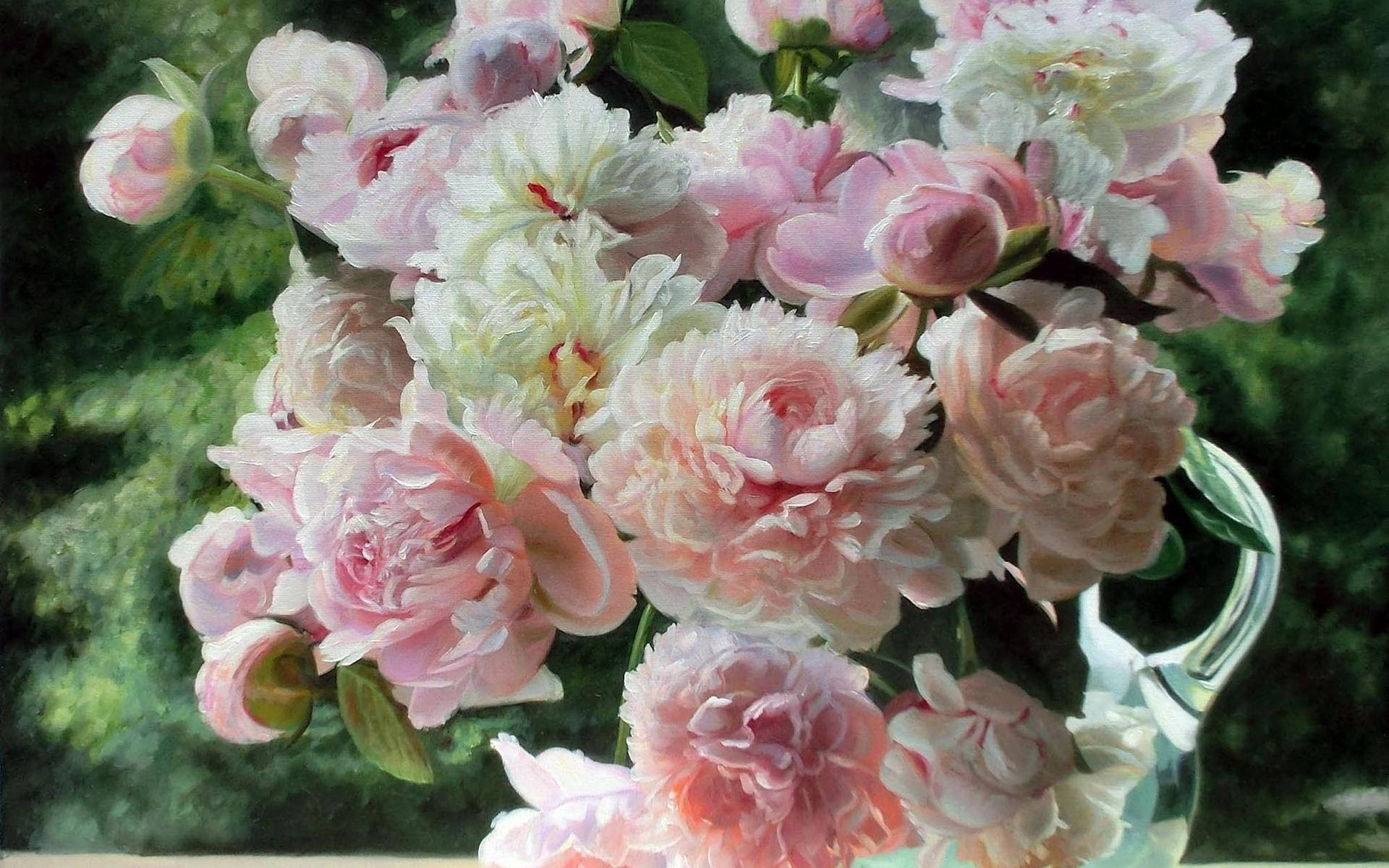 Beautiful Pink Peony Flowers