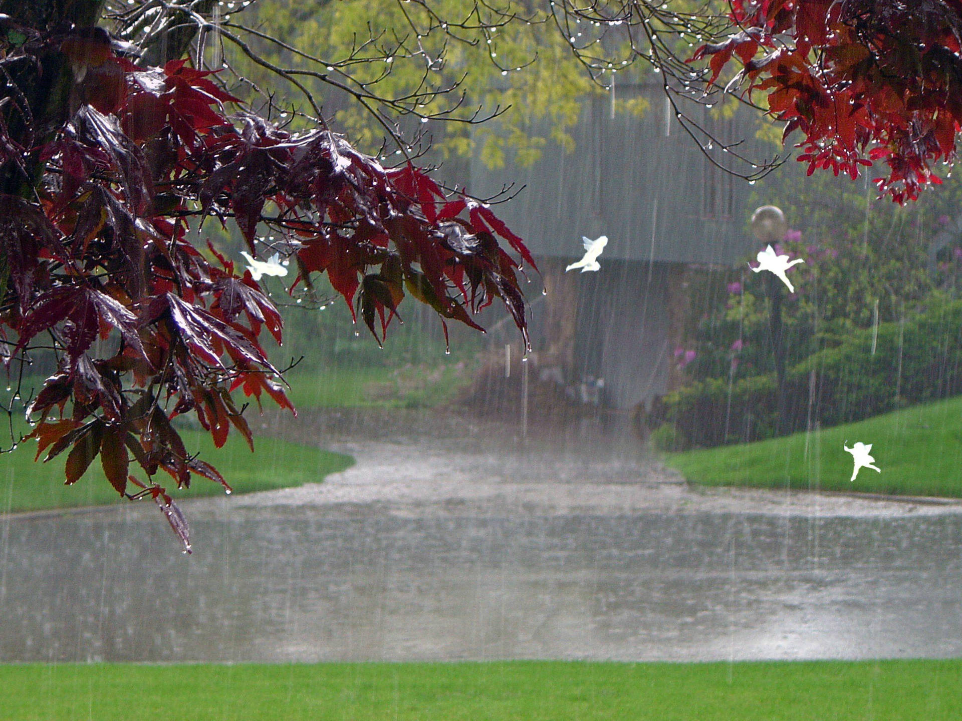 Beautiful Rain With Fairies Desktop Background