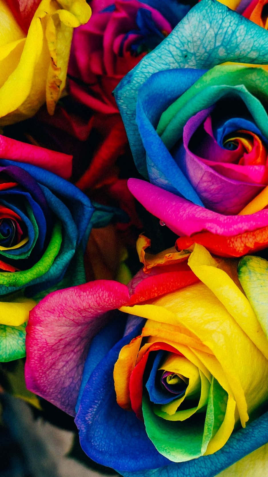 Beautiful Rainbow Flower To Brighten Your Day Background