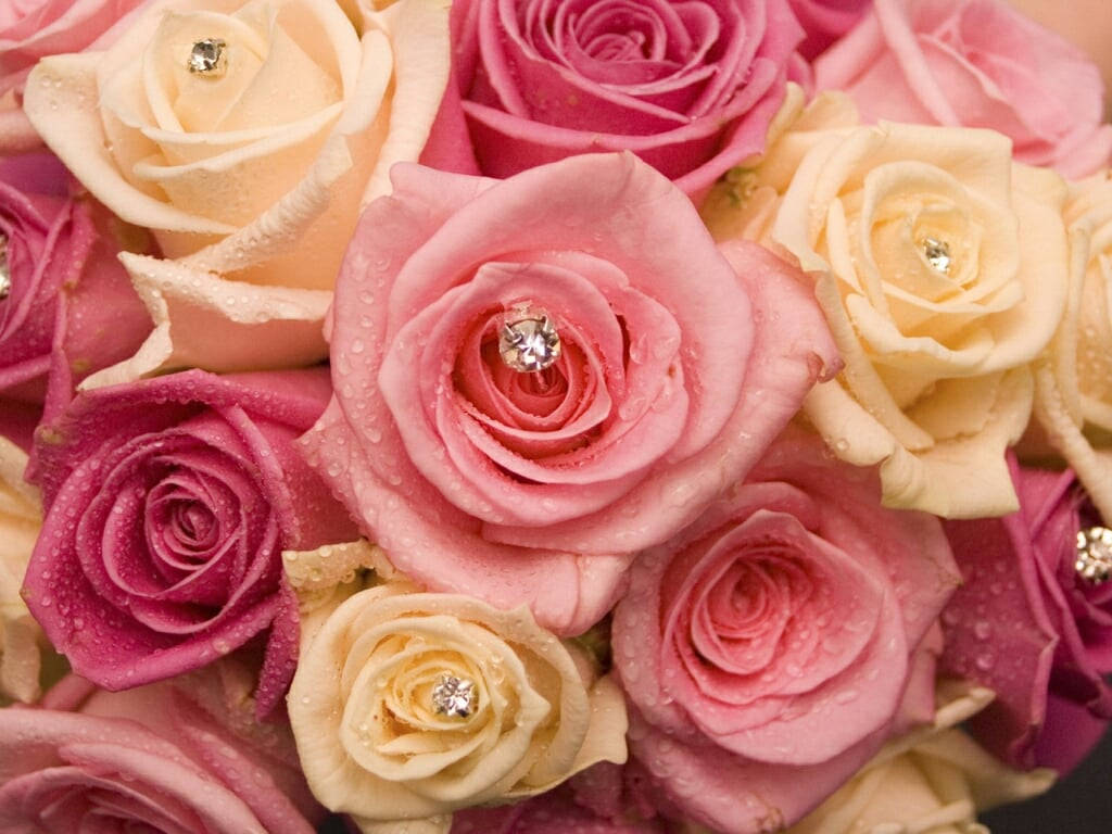 Beautiful Rose Flowers With Engagement Ring Background