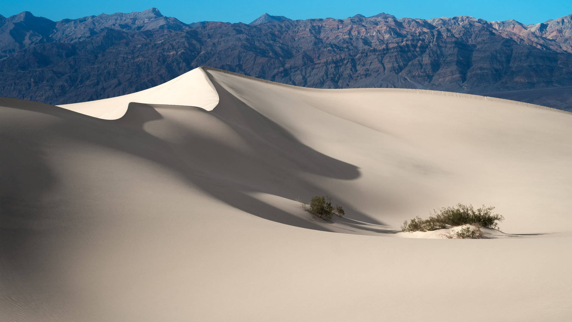 Beautiful Sand Dunes Death Valley Background