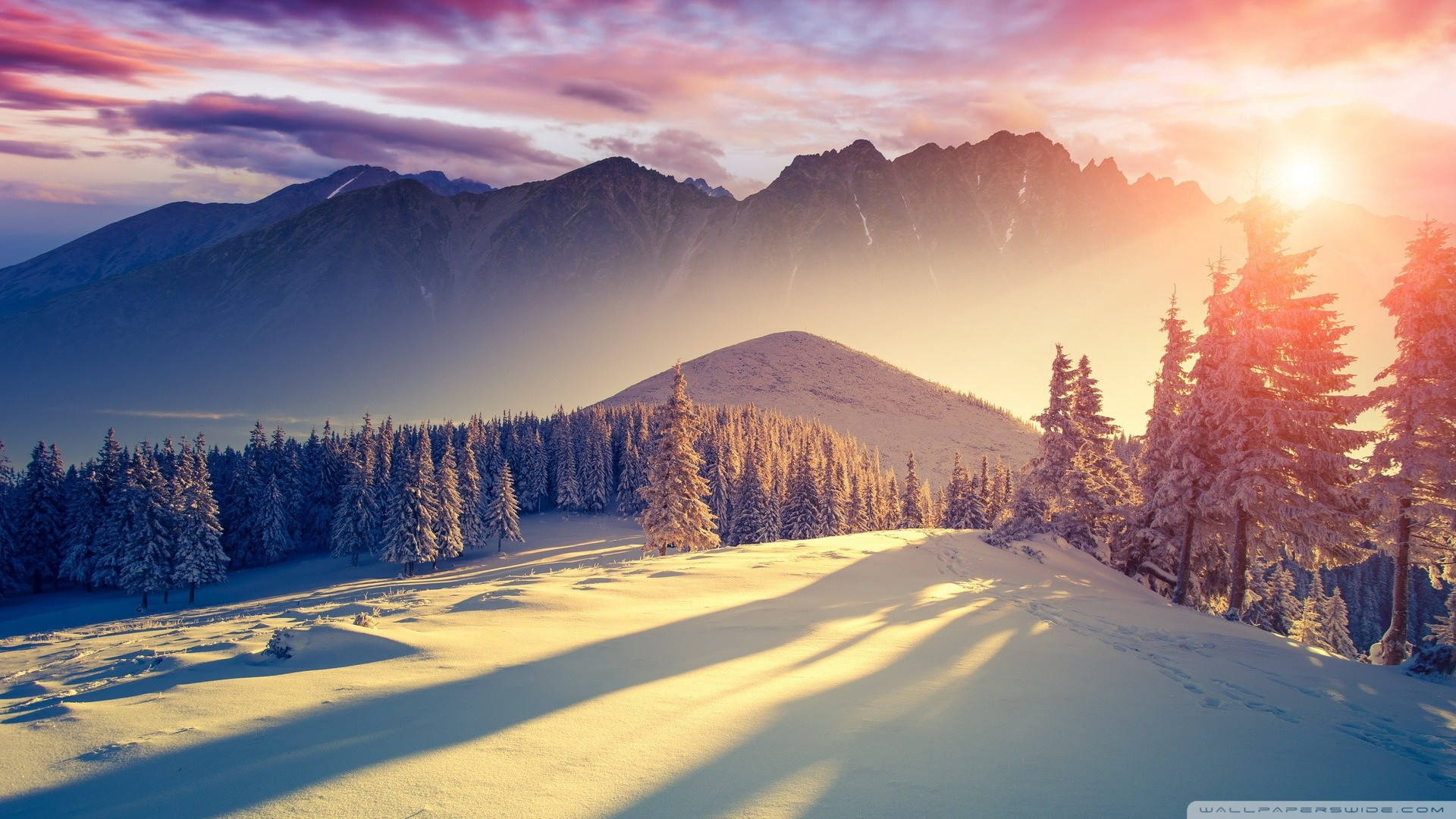 Beautiful Scene For 1920x1080 Winter Desktop Background