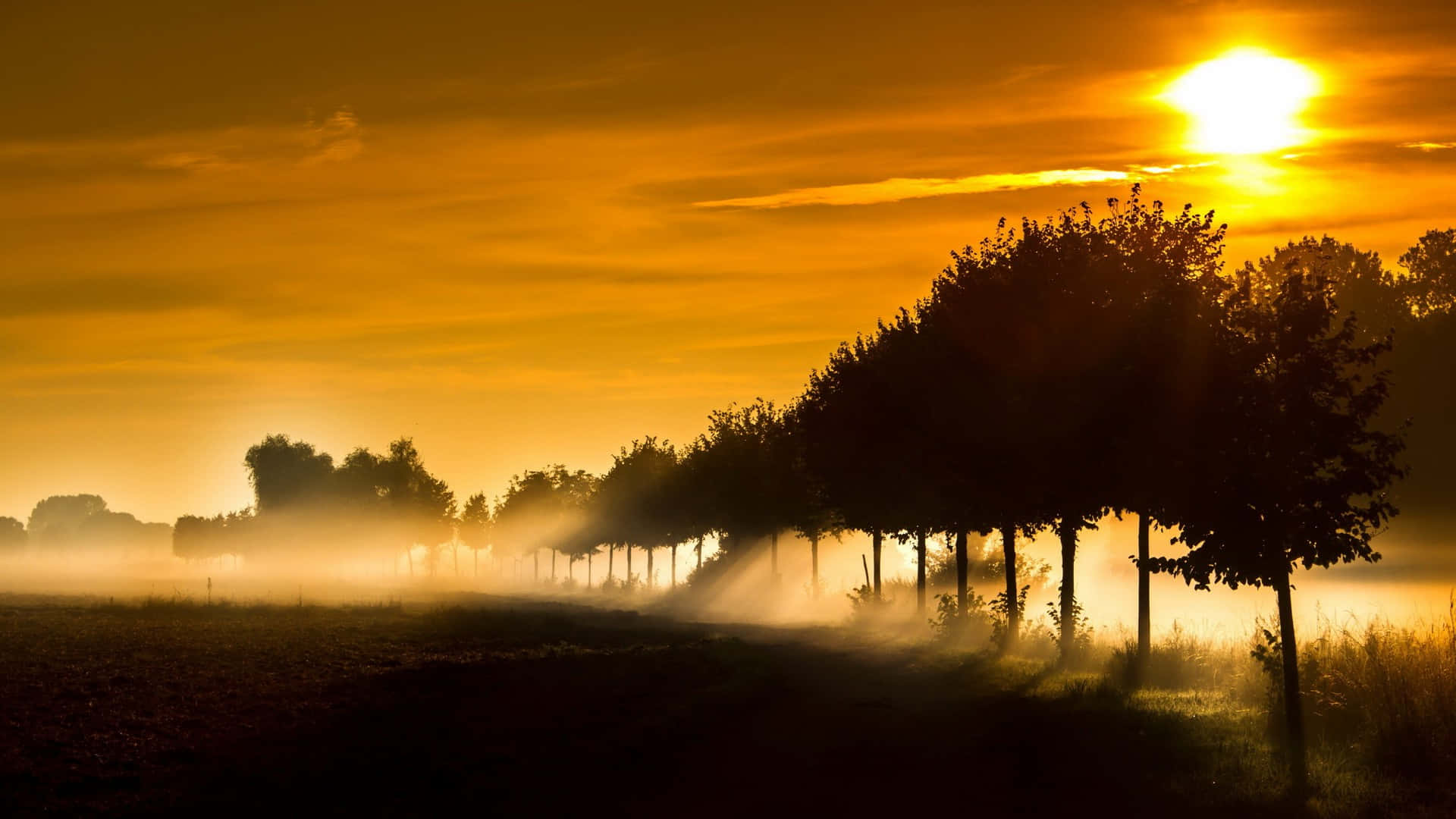 Beautiful Scene With Sun Rays Background