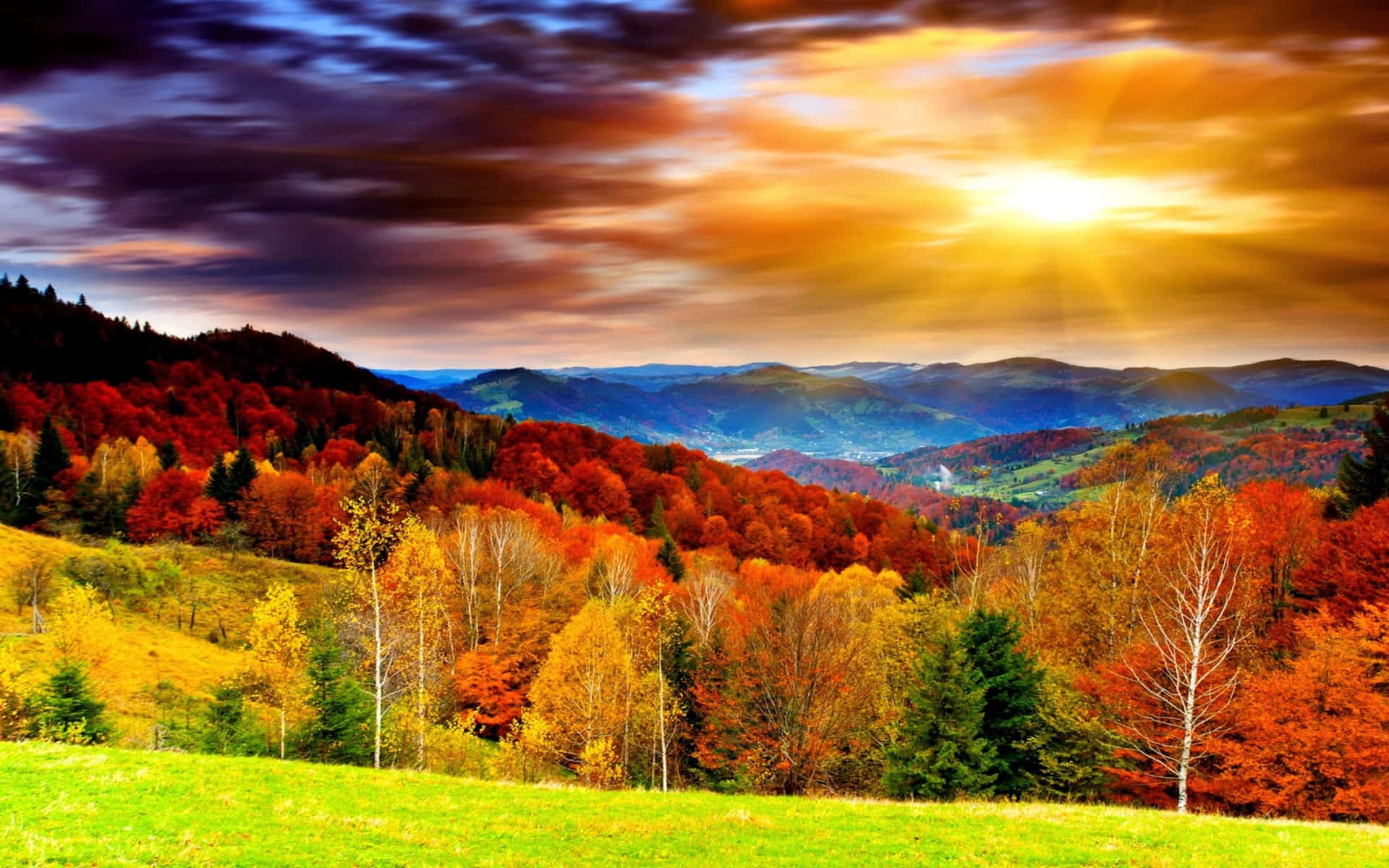 Beautiful Scenery Desktop Autumn Forest
